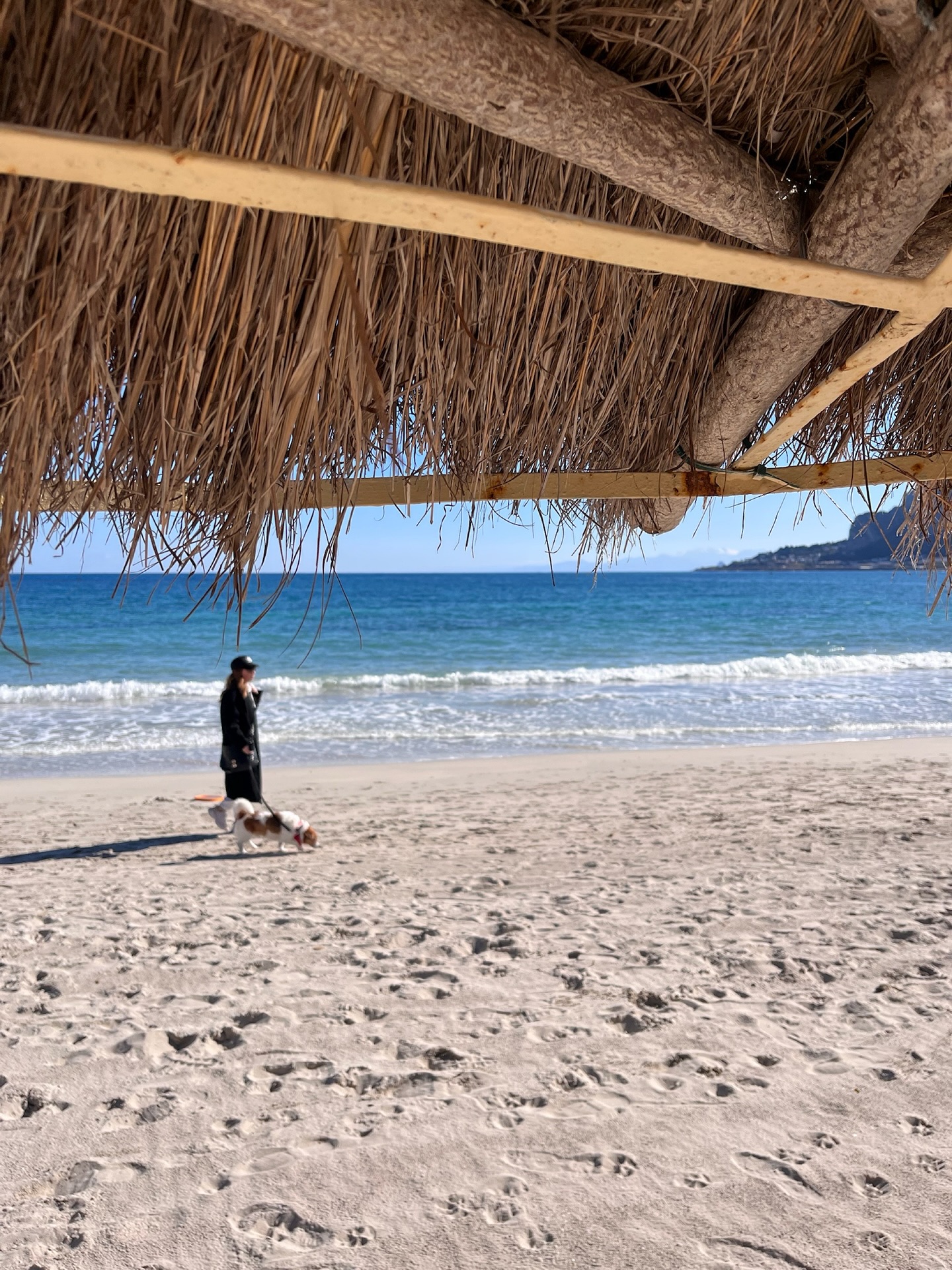 Während Deutschland im Schnee versinkt, genießt Sizilien im Winter oft Sonnenschein und milde Temperaturen ☀️.
Die Wintersonne Siziliens ist eine Wohltat, wie hier in Mondello bei Palermo. Der weiße Sandstrand und das türkisblaue Meer zaubern fast Südseefeeling herauf!
Lust auf Wintersonne in Sizilien? Von 4. bis 9. Februar reisen wir durch den Osten Sizilien und genießen die barocken Städte, den Vulkan Ätna und das blaue Meer. Mehr Infos zur Reise findest du im Link oben in der Bio?
#wintersonnesizilien #sizilien #mondello #winterurlaubitalien #winterimsüden #sizilienreisen #strand #sizilienreise #palermo #sizilientour