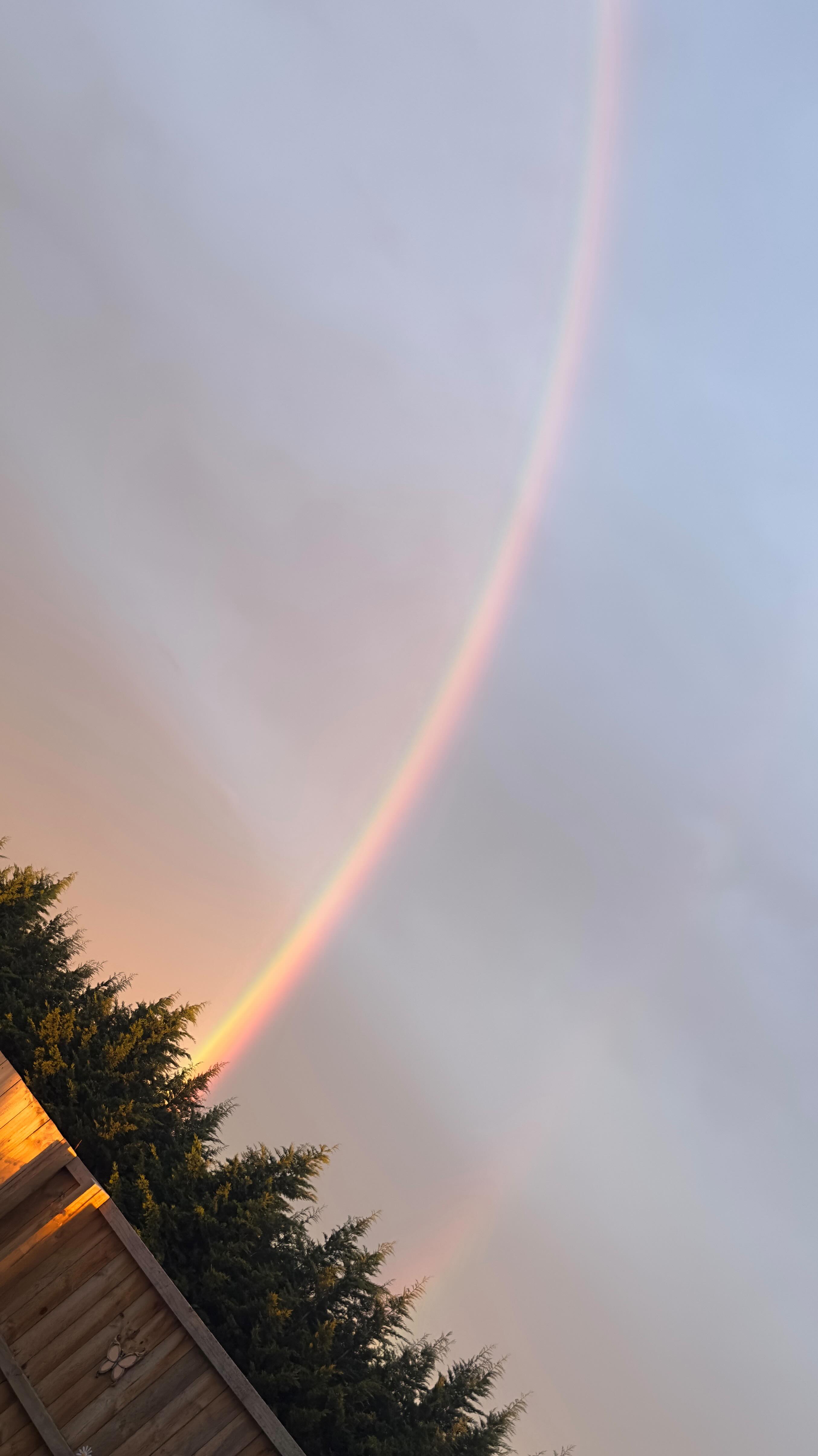 SOS how do I explain this to people? Cause words never quite grasp the depth of the emotion of it.
It’s like a yo-yo between “what the fuck” to “of course” from slipping back into a pattern but just as quickly pulling myself out.
Healing I guess 🦋
#healing #patterns #selfawareness #fyp