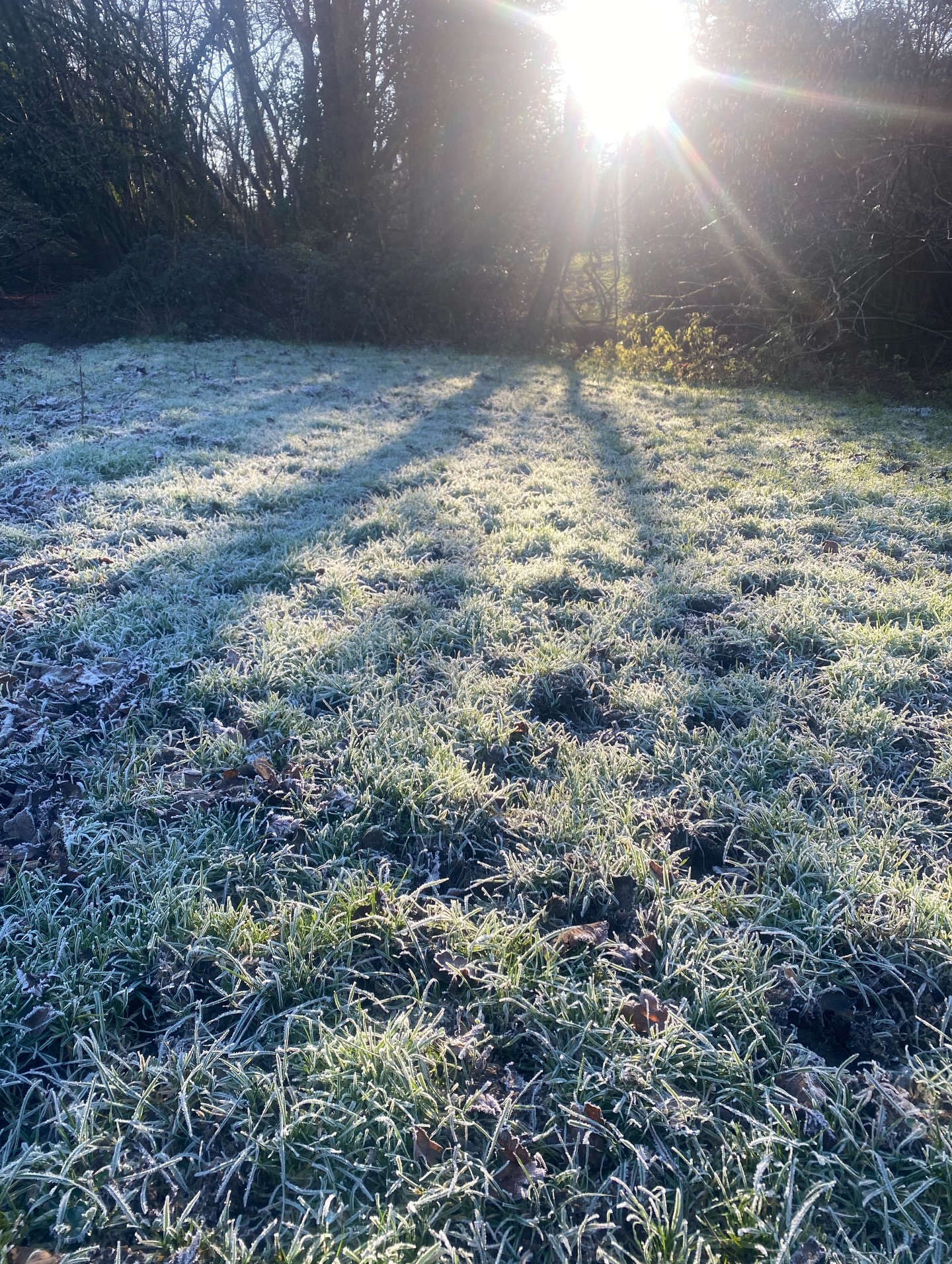 January may feel like a fresh start, but it’s still deep winter.
We don’t need to rush our bodies into productivity while nature is still resting.
This is a time to slow down, stay grounded, and support ourselves with care.
Massage helps calm the nervous system and meet your body where it is….right now. 💙