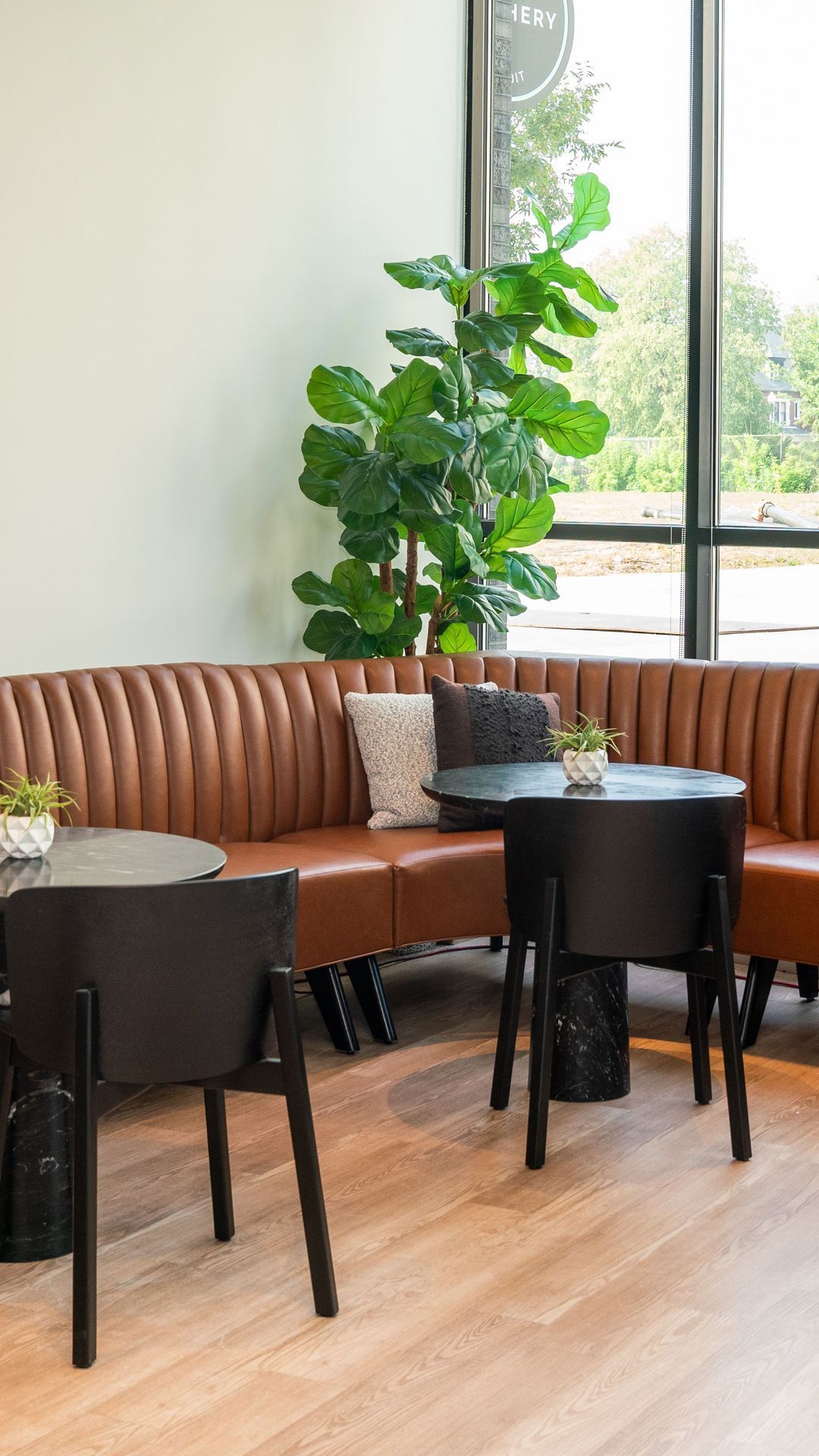 Your top hygiene questions, answered! 🦷
Whether you're team electric or manual, overdue for a cleaning, or confused in the toothpaste aisle we're here to help🫡