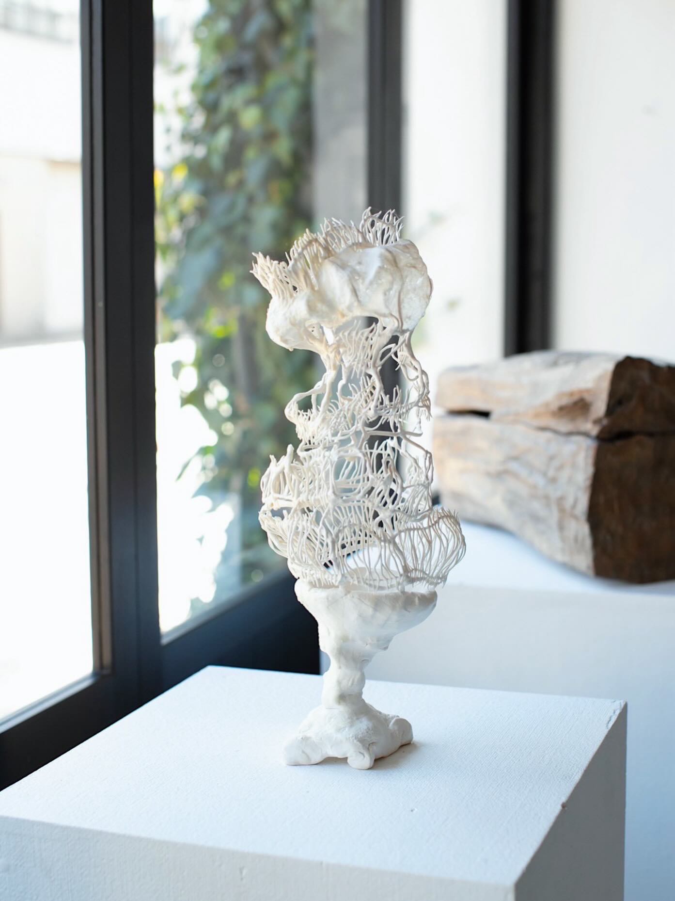 2026.1.2 -1.13 @yama.no.hana企画展に参加させていただきます。
一緒に参加されている作家さんの箱がすごく素敵です。
楽しい展示になったかと思います。
是非ご覧ください。
よろしくお願いいたします。
箱とは、輪郭や境界線が見えてしまっているときなのではないかと思い、人間が人工的に作った形、固定された空間が硬い穴だと私は捉えました。
硬いは、いろいろな文脈によって違いますが、四角い・ルールや用途が決められてること・社会の枠組み • 型にはめる考え方などとあると思います。
「箱」=不自由な空間(世の中)を「硬い穴」に例え、私たちは箱の中で生きて何かしら希望を抱いて生きています。
そんな意味を込めて、「硬い穴」というコンセプトで制作しました。
常に誰の心に希望やトキメキを与えられたらいいなと思っています。
日に当たるとこんなにも生き生きしてみえる姿に改めて嬉しく幸せな気持ちになります。
@misakikato_ photo
@yama.no.hana
@shinmachi_bldg
2026.1.2 Fri - 13 tue
12:00-18:00
岐阜県多治見市新町1-2-8
新町ビル1F
(1/2-4は17:00まで)
参加作家
坂野幸太 @kota_banno
石原温三 @onzo_ishihara
マツモトリョウタ @daibutu55
安藤美掛 @miki_ando_
市橋美佳 @ichihashi_mika
呉瑛姫 @eihigo
#Sculpture
#contemporaryceramics
#object
#ceramics
#art