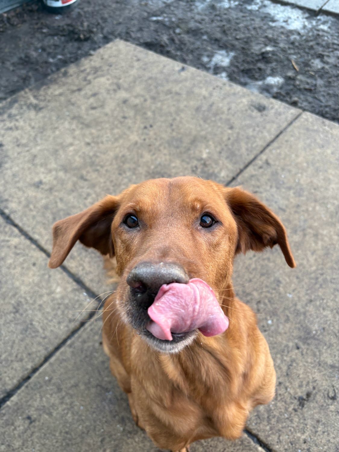 So many cute faces🥰🩷