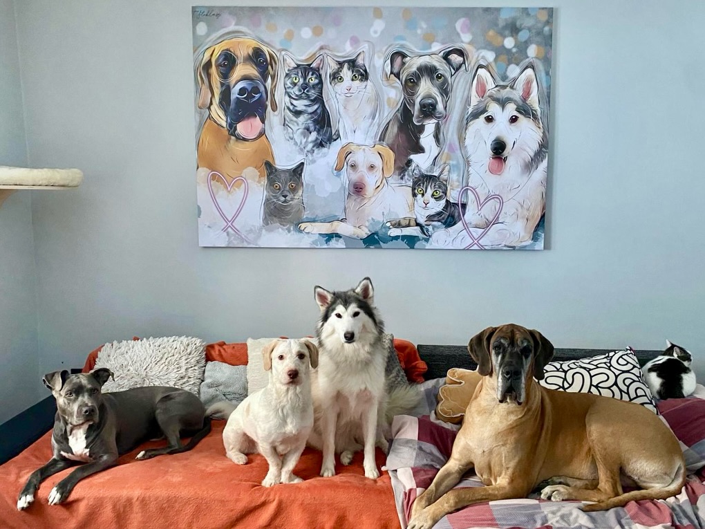 Nový rok, nová energie, nové nápady.. no zatím je to stále jak na horské dráze 🍾😀 doufám, že mě brzy chytne nějaká umělecká múza a já začnu zase tvořit obsah, jaký se vám loni líbil ❤️
No a než to přijde 🥹 tak se mi za poslední dva měsíce nahromadila stovka nádherných feedbacků od Vás.
Nevím z jaké strany začít, tak začnu od toho největšího a nejdražšího, co mi prošel rukama.
Bellu znám ze socek už nějaký ten rok, jednu dobu hodně kontroverzní osobnost, ale stále svá. S jasným směrem, cílem a hlavě srdcem na správném místě. Vždycky jsem obdivovala její smečku a jak to zvládá.. a přiznám se, vždycky jsem měla chuť ji oslovit, zda by nechtěla obraz 😀 a ono to přišlo - Bella nešetřila a nadělila si pod stromeček právě ten největší!
Formát 180x120 stojí v základu totiž 11 000,-, s početnější smečkou jako tady byla kalkulace na 12 800,-, který blázen by do toho šel? Bella.
Děkuji za možnost tvořit a kreslit právě pro tebe ❤️
#dogart #dogportrait #dogdigitalart #dogfamily🐶❤️ #dogphoto