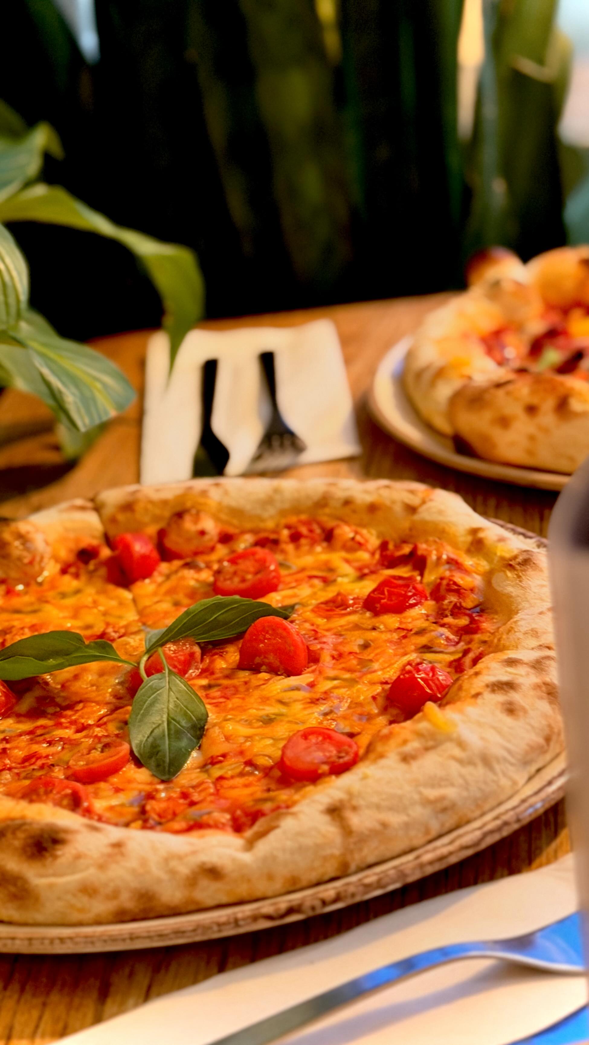 With the same flavours, made vegan! 🌱
Come check out our Vegan menu this Veganuary!
See you there! 👋🏽🧡
#veganuary #nottingham #nottinghamrestaurants #veganfood