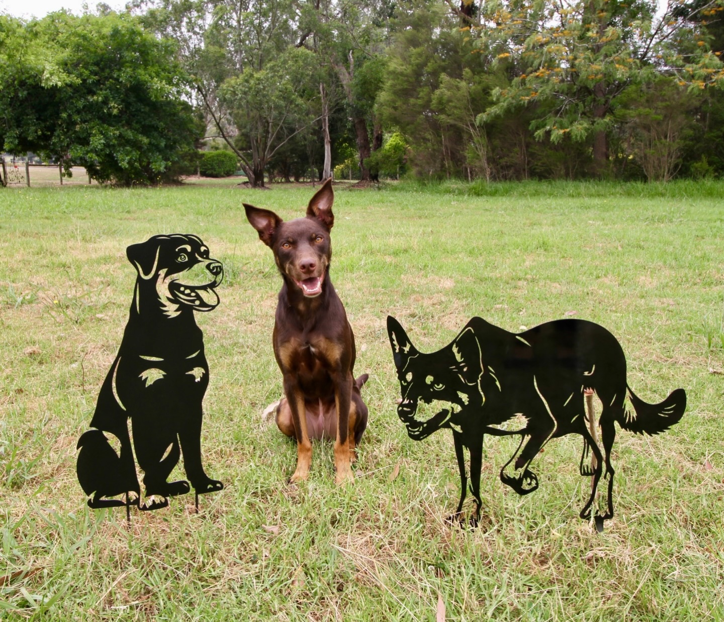 MCC Fam... WE’RE BACK for 2026 🤩 (Although… truth be told, we never really left.)
We did slow the pace a little over the Christmas break to soak up family time, cuddles, and a few extra treats, but behind the scenes MCC was still quietly ticking away. Now though… it’s officially full steam ahead.
All orders placed over the break have had their proofs sent out for review, and every enquiry has been replied to. If you’re waiting on us, check your inbox, we’ve been busy bees 🐝
The real Christmas holiday miracle wasn’t getting all our keepsakes out and under the tree in time ⏰ it was the fact this photo exists at all - Harper standing still for more than half a second is basically unheard of 🤣
If you’d like this furry office clown to help you create a custom piece of your own, feel free to reach out at info@miacooperandco.com or head to www.miacooperandco.com.au
#CustomMetalWork #petportrait #petmemorial #pet #miacooperandco