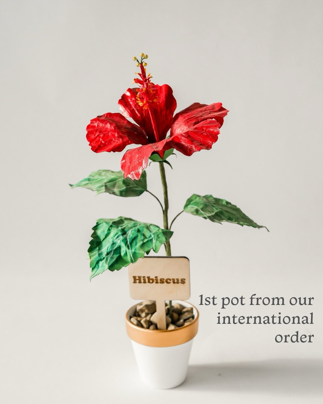 1st paper flower pot from our international order 🌍✨
Should this become a template + tutorial?
Answer the poll 🌺
#paperflower #papercrafts #cricutcrafting