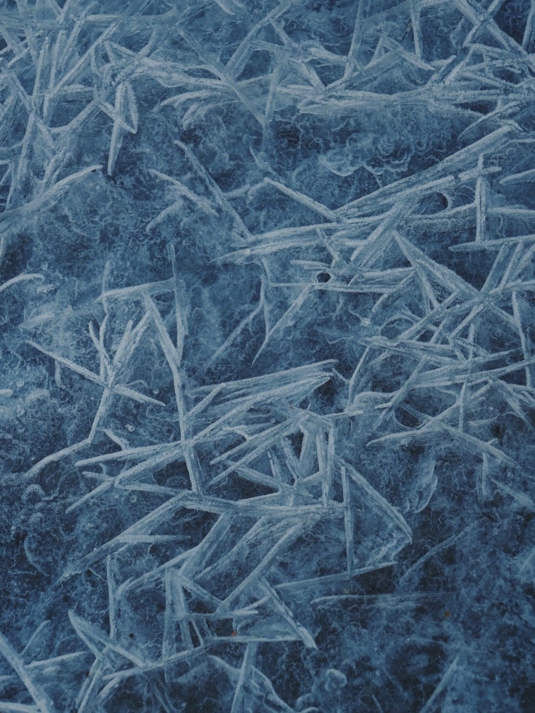 .
Wir alle erleben Winter.
Immer wieder… und das nicht unbedingt gekoppelt an die Jahreszeit oder den Ort im Außen. Doch ja, jetzt gerade ist hier auch in der Natur um uns herum Winter.
Und jeder Winter ist anders.
Jede:r erlebt Winter anders.
Ich wünsche mir so sehr, dass wir alle sanfter, achtsamer und verständnisvoller werden, wenn jemand durch seine Dunkelheit wandert.
Wie könnten wir mit dem Finger zeigen, ohne zu wissen, welche Last er trägt?
Wie könnten wir urteilen, ohne zu erahnen, was ihn sorgt, was ihn ängstigt, warum er die Höhle dem frohen Fest vorzieht?
Warum er Einsamkeit und Stille wählt statt gemütliches Beisammensein?
Er wird seine Gründe haben…
Und wenn wir sie nicht wirklich ergründen wollen oder können, lasst uns wenigstens akzeptieren… respektieren.
Ich wünsche dir und mir und uns allen einen zauberhaften Winter im Außen
und einen heilsamen im Innen.
Auf ein neues Jahr im Frühling… in dem wir wieder erblühen dürfen und werden…
Für alle, die gerade still unterwegs sind.
In Liebe
Kaja 🪶
.
.
.
Bilder aus meiner Bilderserie ‚Winter‘