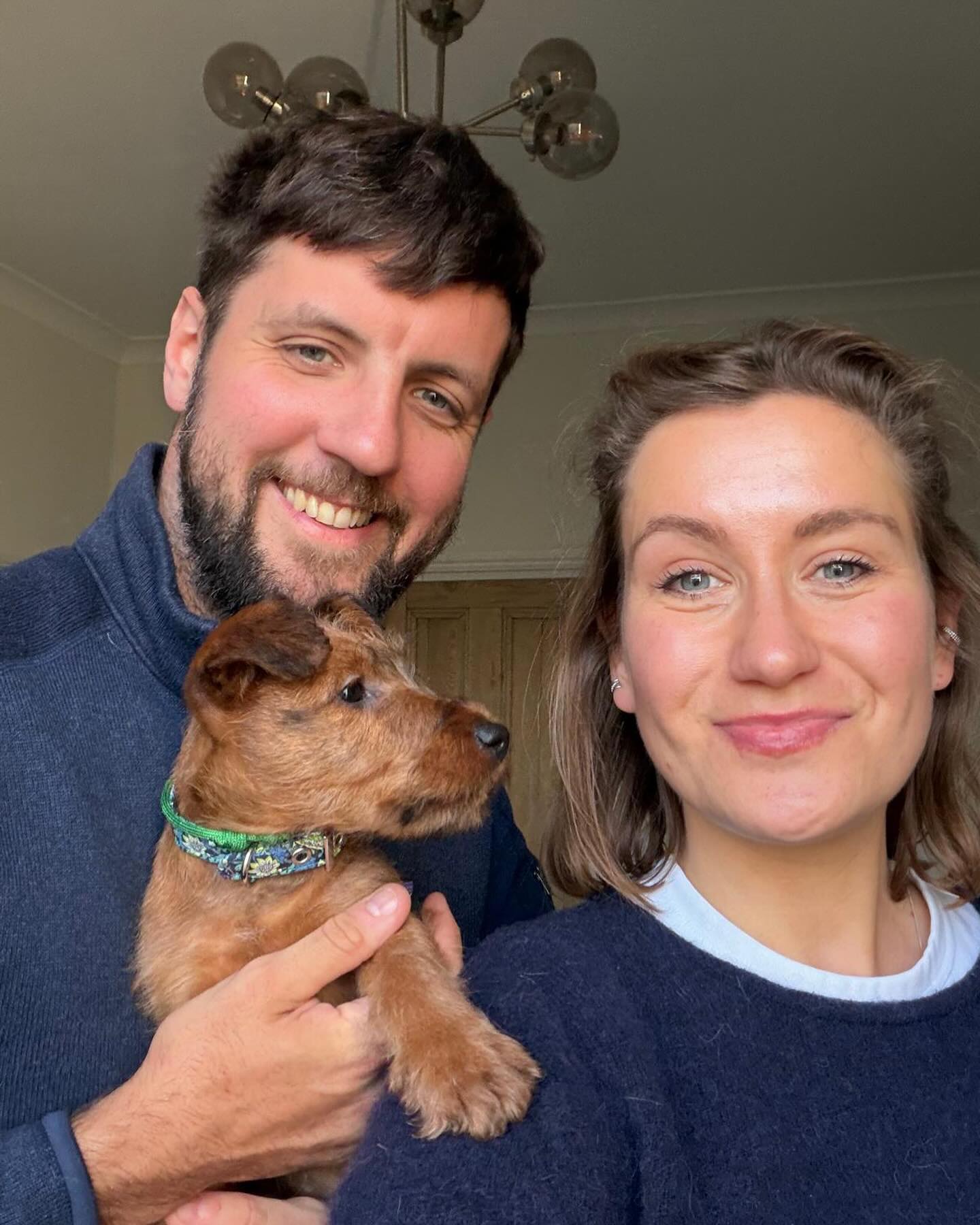 Our second to last pup to go was Miss Green, now “Panko” 😍. She will be living quite nearby so looking forward to seeing her on an IT walk soon. #puppy #irishterrier #irishterriersofinstagram #newhome #newfamily #newlife #foreverhome #irishterriers #goodbye