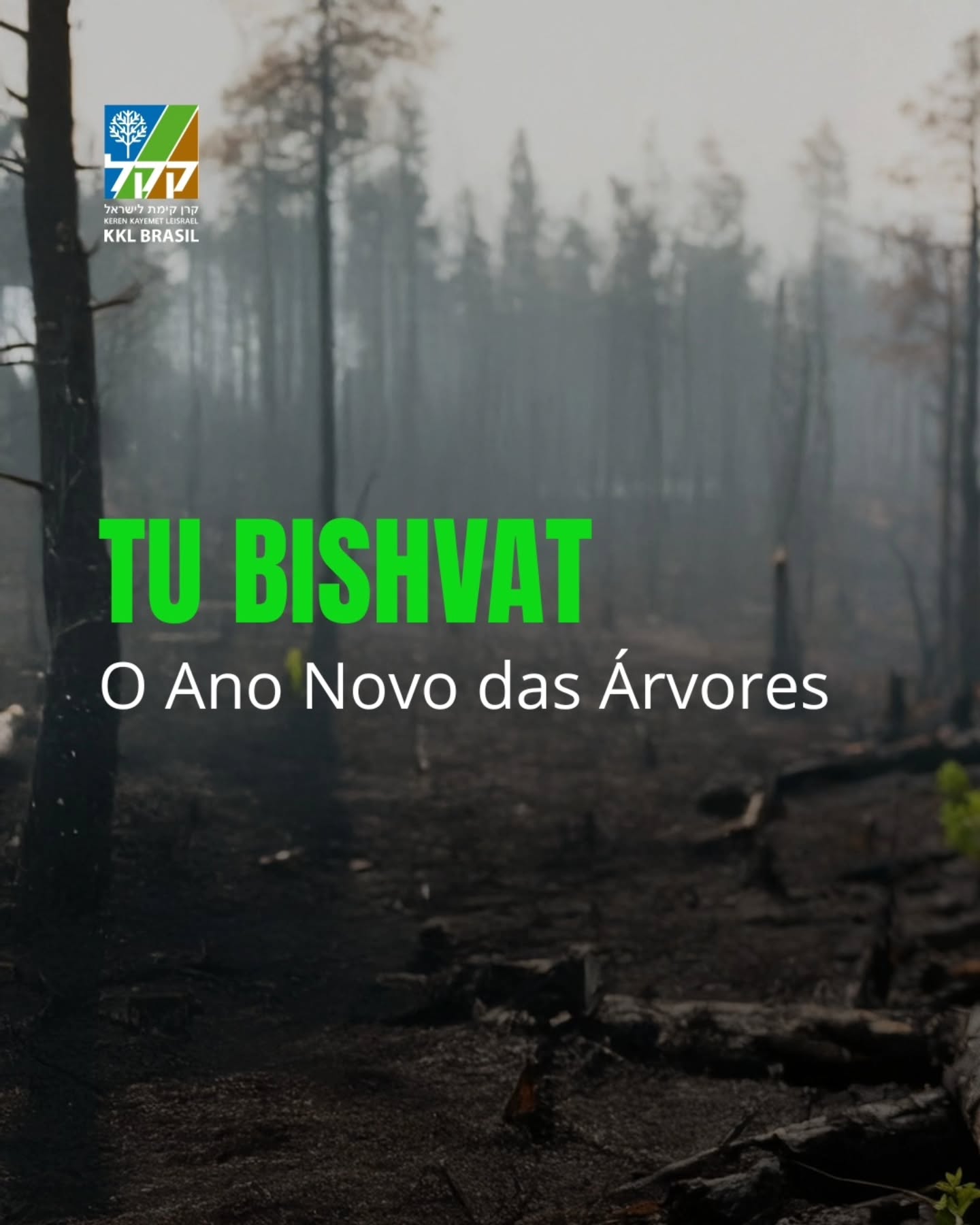 Tu Bishvat nos convida a olhar para a terra com responsabilidade e esperança.
Cada árvore plantada representa vida, continuidade e compromisso com as próximas gerações.