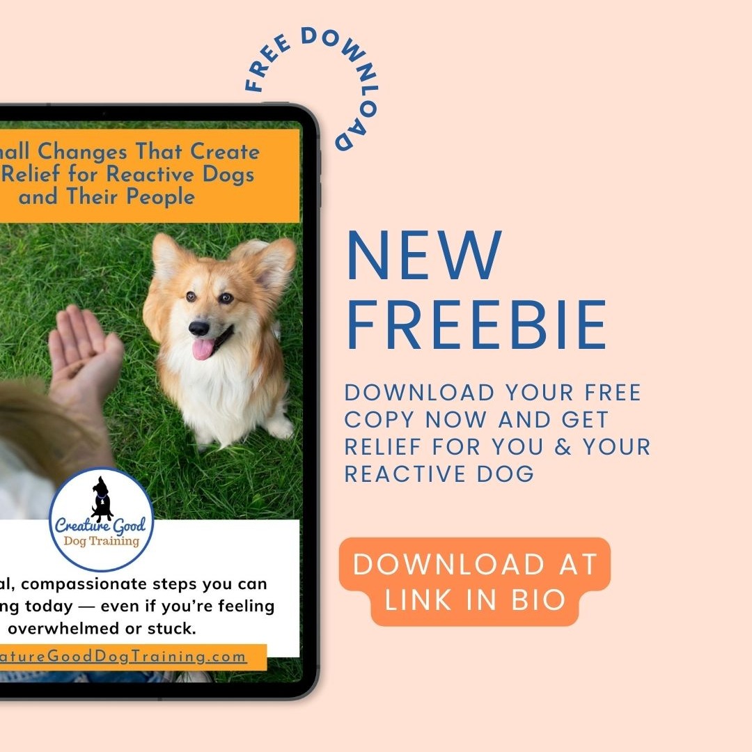Brand new for you!
Living with a reactive dog doesn’t have to feel like constant stress & struggle.
🐾 In my latest blog post (Link in Bio), I share 3️⃣ small changes that make big improvements in your dog’s emotional world and your daily life — no complicated training plans required. 🌿
If you’ve ever felt overwhelmed on walks, exhausted from managing reactions, or just wish things felt easier with your dog, this post is for you.
👉 Link in bio to read post + download new free resource!