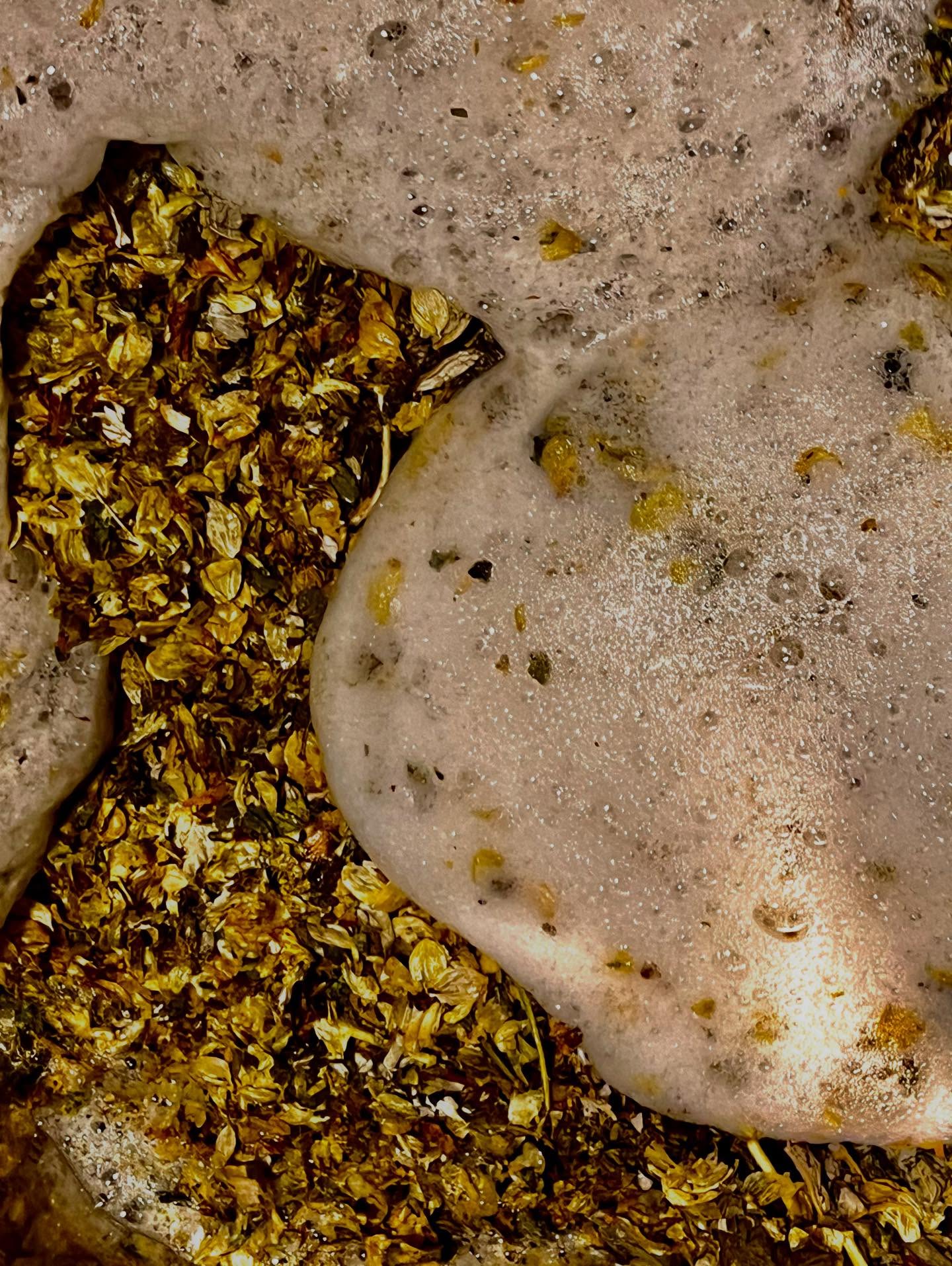 Feinster Bio Hopfen gibt unsere alkoholfreien Alternative nicht nur den nötigen Gerbstoff und etwas Bitterkeit, sondern nimmt auch dem Traubensaft die Süße! #alkoholfrei #wier #robertherbstwein #langenlois