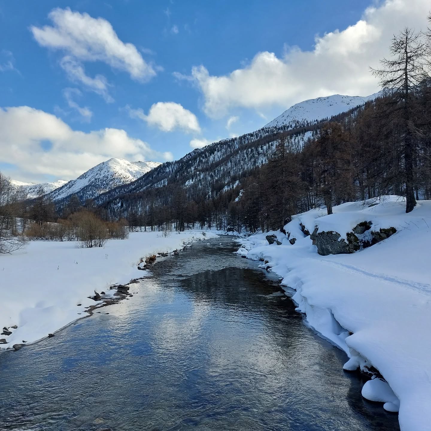 Passage wil je een prachtig nieuw jaar toewensen. 💝
Misschien wordt het een jaar waarin je jezelf wat beter wil leren kennen.
Waarin je nieuwe richtingen wil exploreren.
Of waarin je wil verdiepen in keuzes die écht bij je passen.
Dat alles kan tijdens een Passagetocht — een tijd en ruimte om stil te staan, te voelen, te onderzoeken en te bewegen richting wat klopt voor jou.
De inschrijvingen voor de tochten van volgend jaar zijn volop lopende.
Voel je interesse in één van de Passagetochten? Wacht niet te lang en neem contact op via de chat of via www.passagetochten.fr
Dan boeken we snel een kennismakingsmoment in. 🤗
🗓️ Data Passagetochten
• 16 mei (avond) t.e.m. 23 mei (ochtend)
• 27 juni (avond) t.e.m. 4 juli (ochtend)
• 29 augustus (avond) t.e.m. 5 september (ochtend)
• 10 oktober (avond) t.e.m. 17 oktober (ochtend)
Graag tot snel.
Liefs,
Karlien
🏔️🍵
#nieuwjaar #passagetocht #persoonlijkeontwikkeling #zelfinzicht
#bewustleven #vertraging #keuzesmaken #innerlijkewerk
#persoonlijkegroei #tijdvoorjezelf #nieuwerichtingen