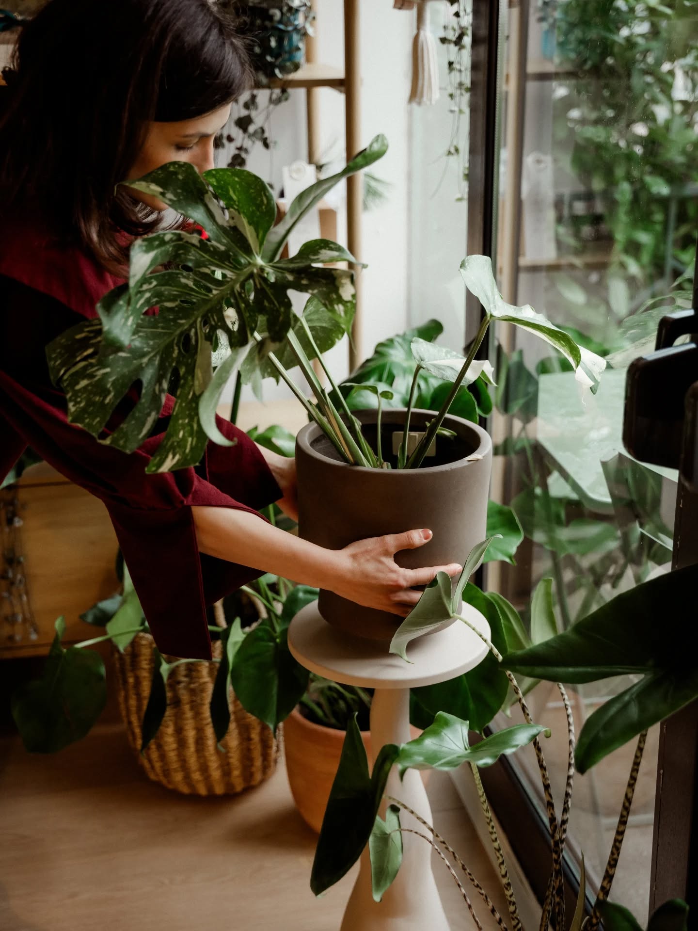 Încep ziua făcând tura de îngrijire a plantelor din magazin. Verific solul, ud unde este cazul, sterg frunzele de praf, curăț frunzele uscate, pulverizez pentru extra umiditate, mai ales că acum este pornită şi căldura. E o terapie pentru mine şi o promisiune pentru voi că aici, veți găsi mereu plante atent îngrijite.
Apropo, să vin cu câteva tips pentru îngrijirea plantelor de interior în sezonul rece? V-ar ajuta? 🌿