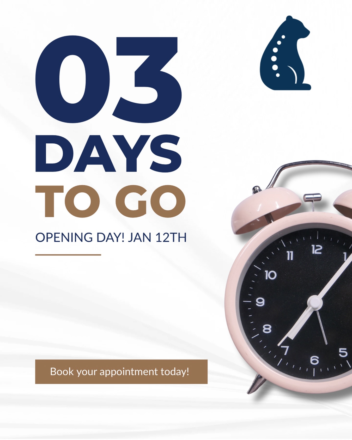 Only 3 days to go ⏰✨
Evermore Chiropractic opens January 12 and we’re almost ready to welcome you. Fresh space, thoughtful care, and a whole lot of spine love coming soon 🐻🦴
Book your appointment now and be one of the first through the door. Your back will thank you 😉 #boyntonbeach #chiropractorboyntonbeach #boyntonbeachchiropractor #palmbeachcounty #palmbeachchiropractor