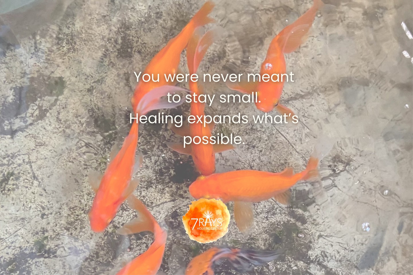 Like a goldfish, we often repeat patterns without knowing their origin.
Grief that isn’t ours.
Anxiety that started generations ago.
Dreams deferred… again and again.
Family Constellations reveals the invisible edges of your emotional world, so you can stop swimming in inherited loops and start moving with your own current.
🌊 You were never meant to stay small.
Healing expands what’s possible.
📸 Photo by Hemla
#reawakenthepower
Read More: https://www.7raysholisticcenter.com
#familyconstellation #EnergyWork #Intuition #Productivity #SpiritualGrowth
#ColorTherapy #SelfExpression #ChakraHealing #EmpoweredWomen #HolisticHealing #LifeTransitions #SelfCare #7RaysHolisticCenter
#TimeToBloom #PersonalGrowth #NatureInspired #BloomInYourOwnTime #YouAreUnique #MindfulJourney #Creativity #SelfEsteem #SacralChakra #PersonalGrowth