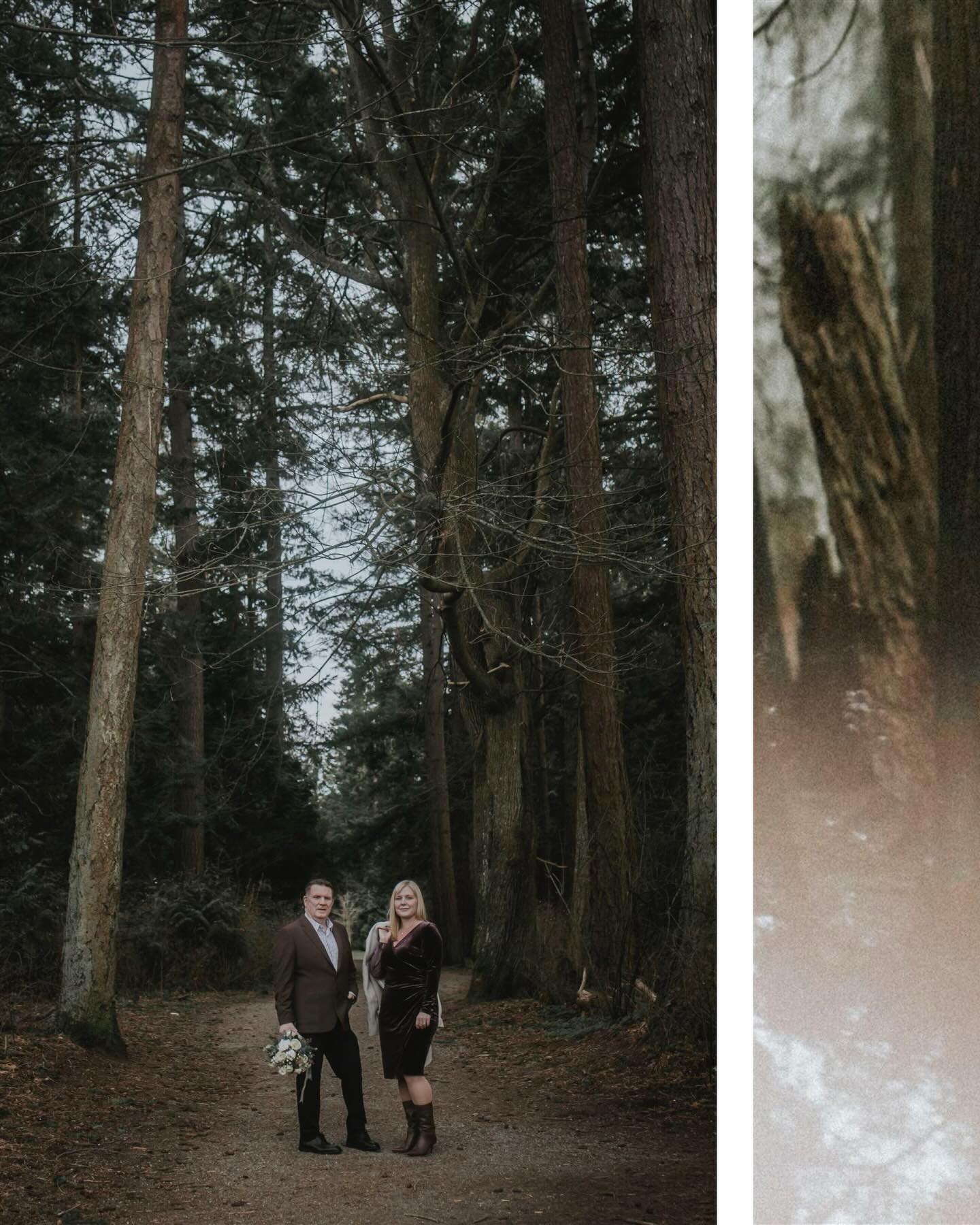 Where the forest becomes the altar 🌲✨
Photography: @tyshawnnareannco
Officiant: @younghipandmarried @officiant_shawn
Flowers: @bridalbeginnings
#ForestWedding #PopUpWedding #IntimateWedding #NatureInspiredLove #ElopementVibes WildlyInLove EarthyRomance WoodlandWedding MicroWeddingMagic