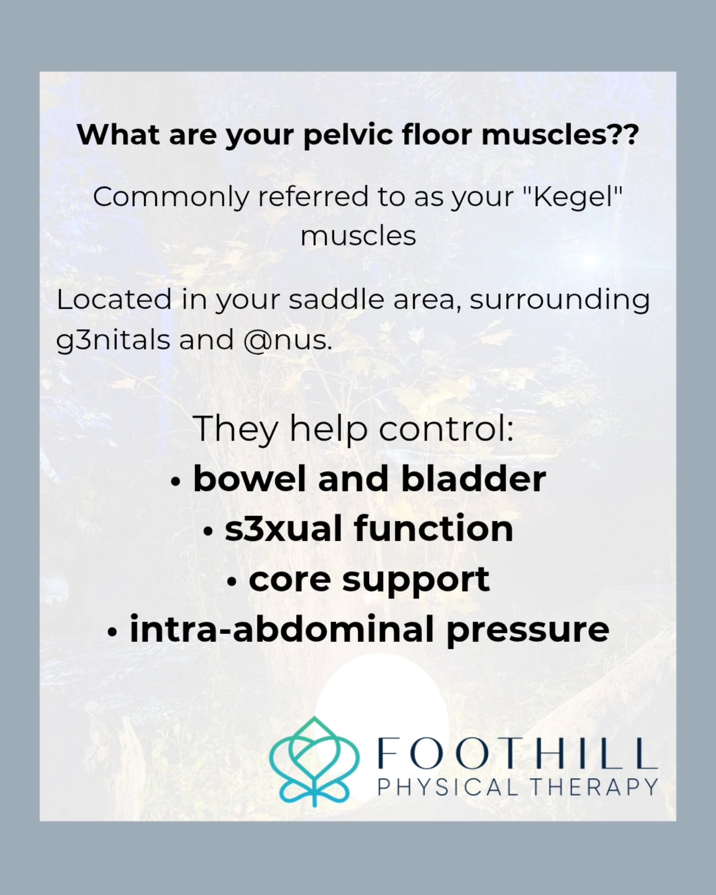 You may need pelvic floor PT if you:
•Leak when you cough, sneeze, laugh, jump.
•Strain to 💩 or have to wipe, wipe, wipe
•Use the bathroom more than 8x/day
•Pain with tampon insertion or s3x
•Experience heaviness or pain in the pelvis
•Are pregnant or postpartum
🌟 If one or more of these was a surprise to you, it'll surprise others too! Many of these symptoms are common but not normal .... there IS treatment!
👉share with 3 friends for empowerment and health!
#pelvicpt #Pelvicgirdlepain #urinaryfrequency #Urinaryurgency #lightbladderleakage #constipation #vulvodyniasupport #chronicpain #dyspareunia