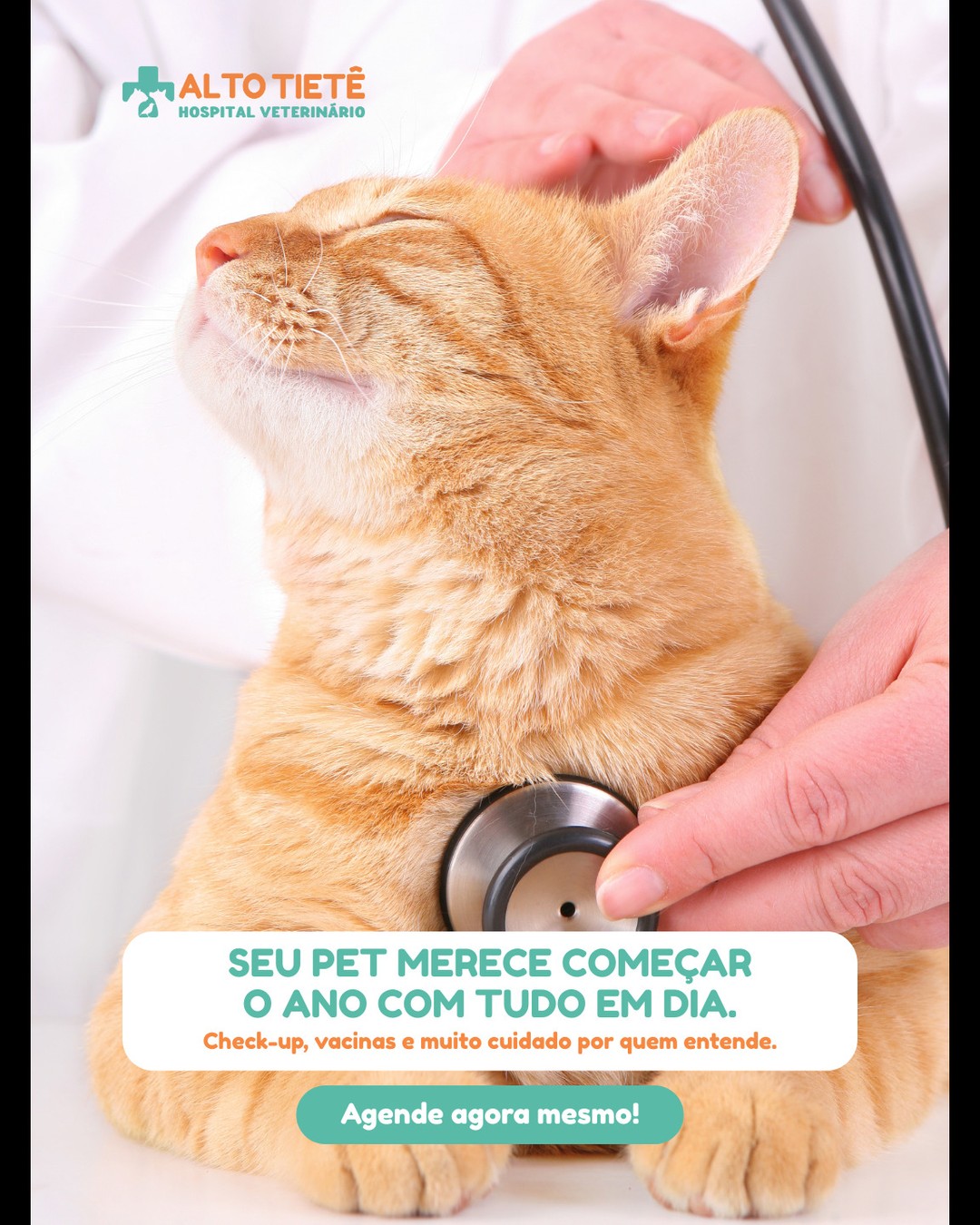 Ano novo, saúde nova para seu pet! 🐶🐱💙
Janeiro é o momento ideal para colocar em dia o check-up, as vacinas e cuidar da saúde do seu melhor amigo.
✅ Exames preventivos
✅ Atualização vacinal
✅ Avaliação completa com nossos especialistas
Aqui no Hospital Veterinário Alto Tietê, temos estrutura completa, equipe 24h e o cuidado que você confia.
Comece 2026 da melhor forma: com bem-estar, prevenção e amor!
📲 Agende agora mesmo pelo nosso WhatsApp ou venha nos visitar.
#CheckupPet #SaúdeAnimal #VeterináriaEspecializada #HospitalVeterinário #AnoNovo #PetSaudável #CuidadoVeterinário #Arujá