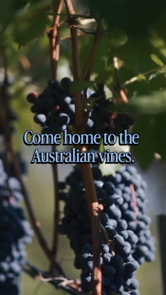 šŖØ "Sometimes rock bottom is the best place to start." šŖØ
š Meet Jared and Georgia in Falling Down Under. Get it via the link in my bio. š
Aussie Author; Indie Author; Author; Read me; Read Romance; Romance Readers of Instagram;