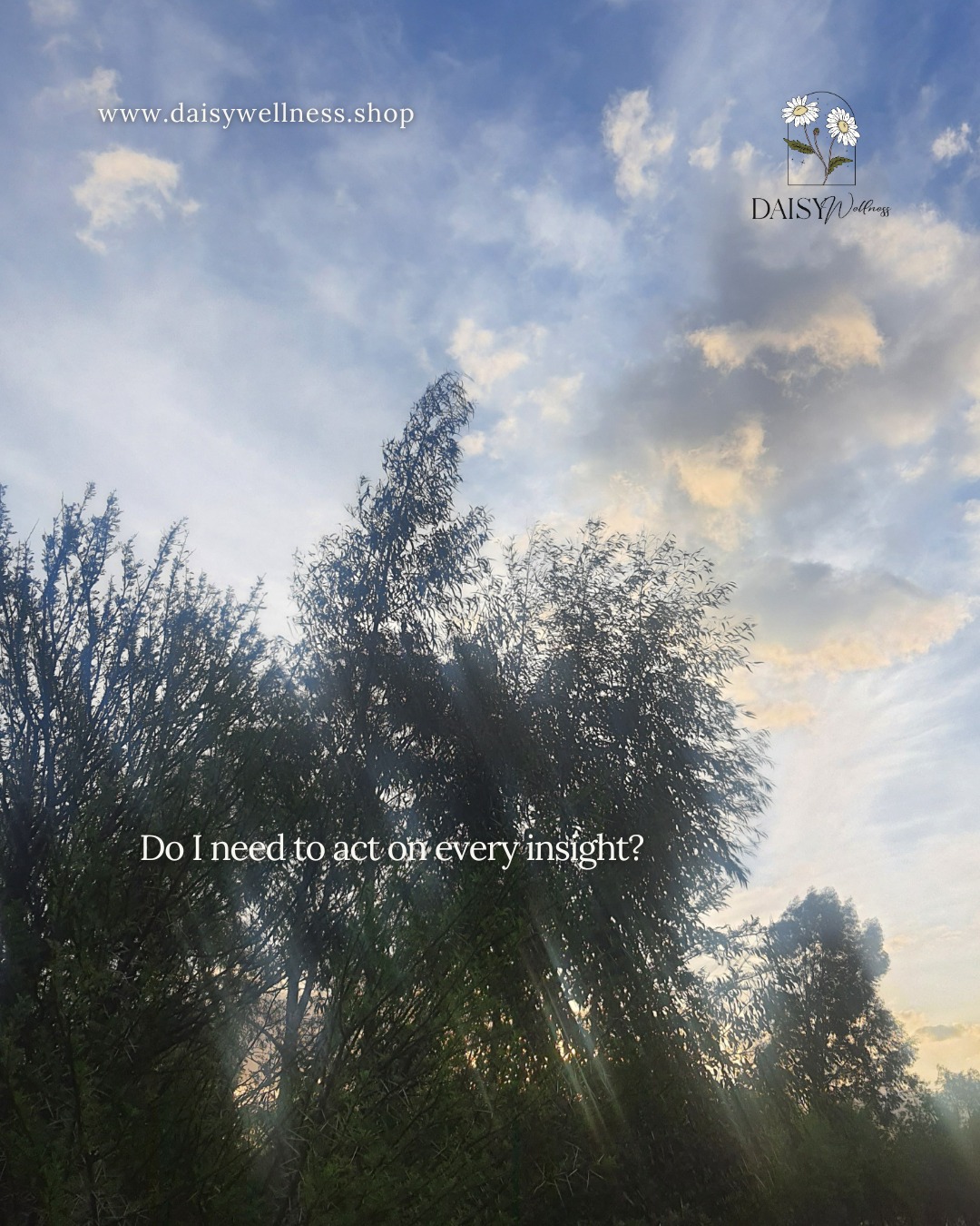 You don’t need to act on every insight immediately.
Sometimes the work is letting something land
without turning it into a task.