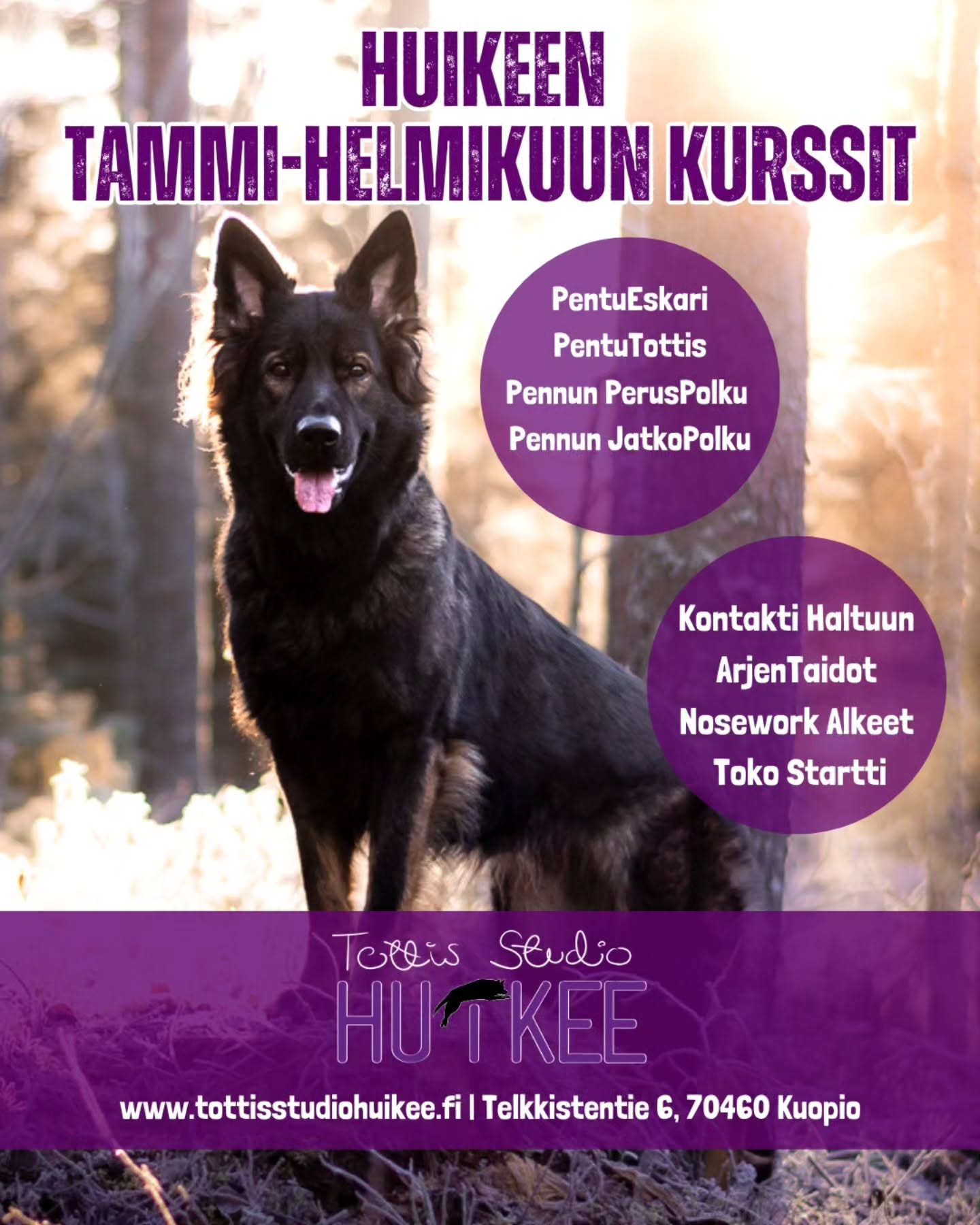 💜 HUIKEEN TAMMI-HELMIKUUN KURSSIT! 💜
Talven kaikki kurssit sisällä lämpimässä HuiKeen hallilla Kuopion Kelloniemessä 🐾
ALKAVIA KURSSEJA
🟣 Pennuille Pentu Startti
✨️ PentuEskari
✨️ Pennun PerusPolku
✨️ Pennun JatkoPolku
✨️ PentuTottis
🟣 Arkeen aikuisille koirille
✨️ Kontakti Haltuun
✨️ ArjenTaidot - 2 ryhmää
🟣 Harrastukset ja eri lajit
✨️ TOKO Startti
✨️ Nosework Alkeet
🟣 POP UP -treenit
✨️ Yksittäisiä irtopaikkoja ryhmiin
✨️ Eri aiheista POP UP-tunteja
▫️ Näistä ilmotellaan erikseen somessa
💜 Muita treenejä
✨️ Leikityspäivä 24.1.26 HuiKeen hallilla
▫️ Infoa löydät somesta
ILMOITTAUDU MUKAAN KURSSEILLE JA TREENEIHIN
▫️Kotisivujemme kautta
Lämpimästi tervetuloa mukaan! ❤️✨️
#tottisstudiohuikee #koirankoulutus #koirahalliKuopio #koirakoulukuopio #koirakoulu #Kuopio #siilinjärvi