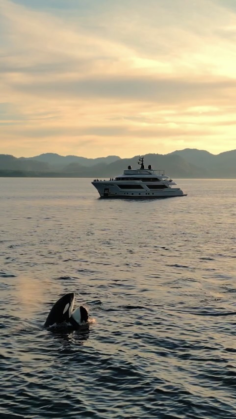 “Wildlife of Glacier Bay” - “Newcomer” Finalist - submitted by Charlotte Moore from @exploreryachtnuri
This phenomenal short film highlighting Charlotte’s experience aboard M/Y Nuri featuring breathtaking views and intimate encounters with local wildlife was easily one of the highlights of the evening at the @antiguascharteryachtshow
It definitely shows why cruising in the Pacific Northwest and Alaska is every mariner’s dream.
By participating in the Adrift Film Festival, yacht crew are helping raise money and awareness for @yachtaidglobal so that they can better support the underserved coastal communities around the world.
#adriftfilmfestival #yachtieworld #yachtaidglobal #superyacht #superyachtcrew