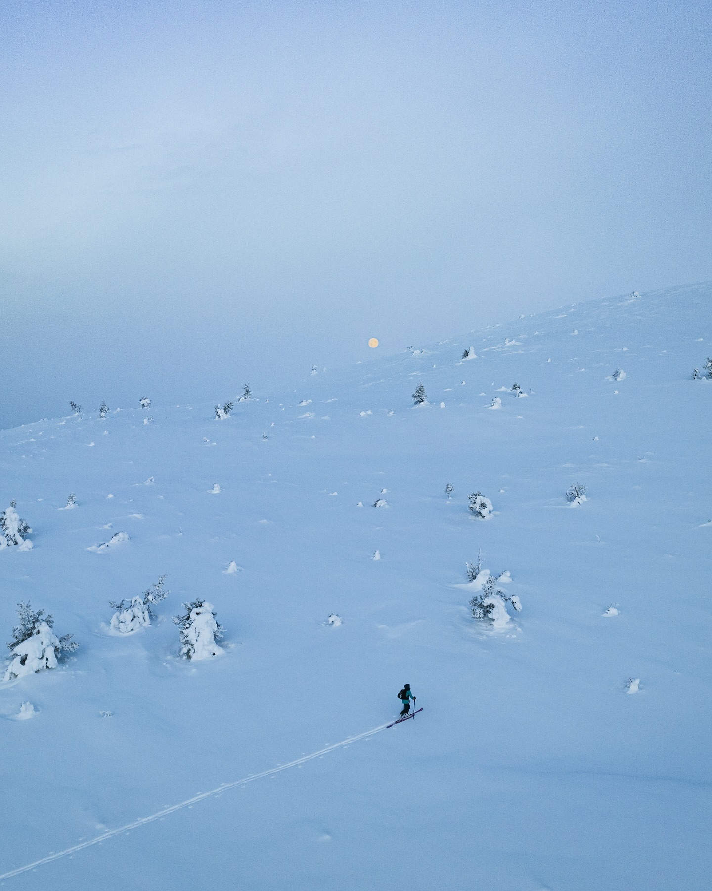 Kuutamon hiljainen vapaus.
#pallaksenpöllöt
#pallastunturi
#tunturiparatiisi
#pallas
#pallasyllästunturinkansallispuisto
#lapland
#backcountryskiing
#offpisteskiing
#suunto