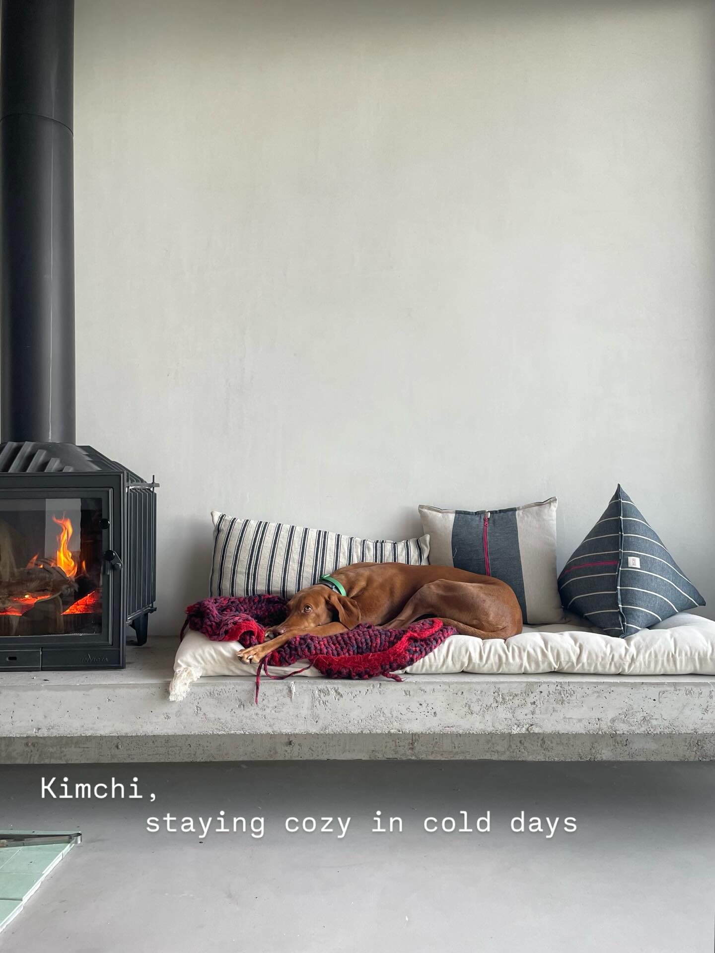 Enjoy cold days and stay cozy with Joyful Pillows and with your flatmates. 🐩
#winteraesthetic #mediterraneanwinter #slowmaking #homedecorinspo #slowlivingforlife