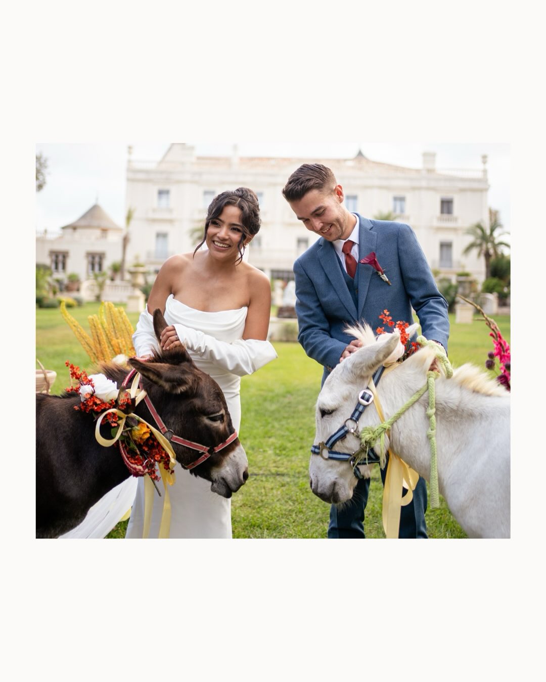 Andy et Val c’est un cocktail français et mexicain qui marque votre esprit par sa générosité, gentillesse et joie de vivre. Ces petits mariés se sont des rocs, la même année ils se sont mariés (sur 4 jours), ont fait un bébé, ont acheté une maison et ont tenu leur bar à tapas d’une main de fer. Ils sont partout, ils ont soif de grands projets et ça leur réussi !
#donkeys #mariagemixte #tequilashots #weddingparty #graciasportodo