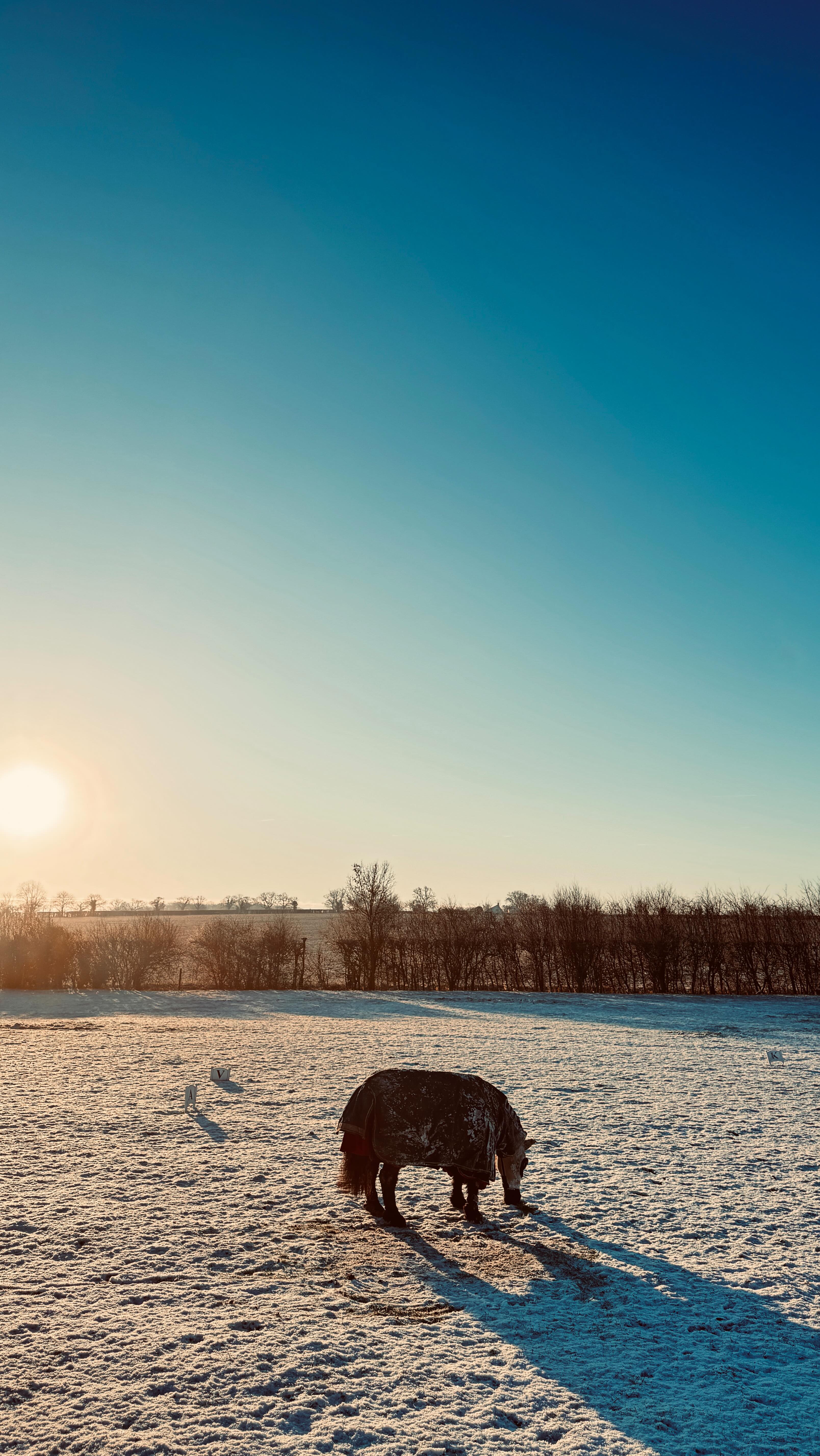 Just because there was snow on the ground didn’t mean we stopped progress, working on ourselves not only helps us keep improving but it does many other beneficial things:
• it makes us carve time out for our selves in what is a busy life
• it helps us mentally feel calmer and physically stronger
• it reduces aches and pains created by the hard work of winter ❄️
• it builds connection with a community of like minded people
• it helps us feel supported and heard when sometimes it can feel lonely
• it means when we get back on we are ready 💪for whatever our fresh horses want to throw at us 🙃
Happy Friyay all…now of the floods would go down I’d like to ride my horse 💙