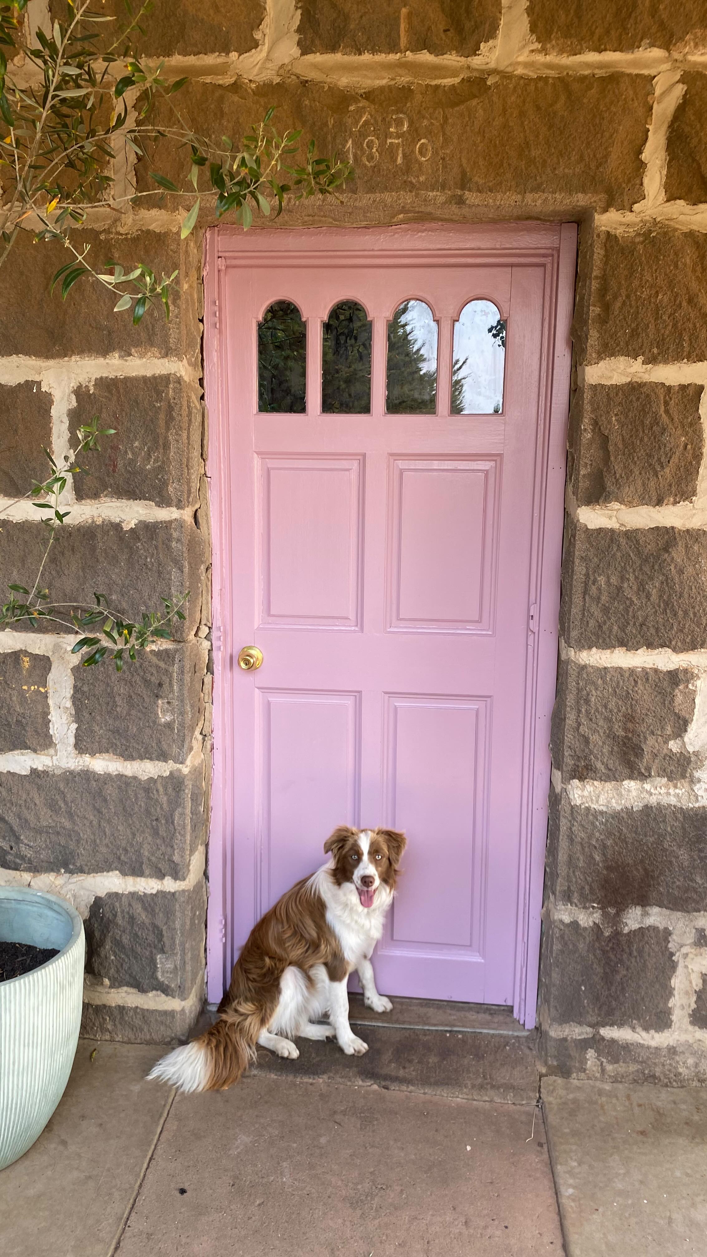 New year, new door 🩷 Let’s go!! ✨
(Maggie loves photobombing 🫶🏼)
• Colour is Windflower by @duluxaus
#pink #pinkdoor #coloureddoor #coloreddoor #bluestonecottage #bluestone #interiordesign #frontdoor #frontdoorsofinstagram