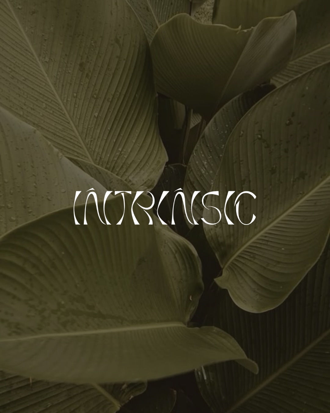 our 2025 logofolio highlights make me want to do more branding projects this year. i’ll take one coastal, one vintage and one 70s MCM brand, please🤞🏼
our availability this year will allow for more branding identity development projects, and i cannot wait to see who the wind brings our way.
if you’re wondering WHAT a branding identity kit should really look like (aka, how many logo variations you need, what else it should include, etc.) we’ll be sharing one soon, so keep an eye out for that.
excited for the year ahead!!
___
studio rh is a digital marketing agency specializing in social media management, web design, branding and seasonal architectural photography services. we work with interior designers, custom home builders, architects, photographers and lifestyle brands in brooklyn / new york city, newport beach / california, toronto / muskoka and beyond.
#studiorh #thestudiorh #studioreginahalonen #socialmediamanagementagency