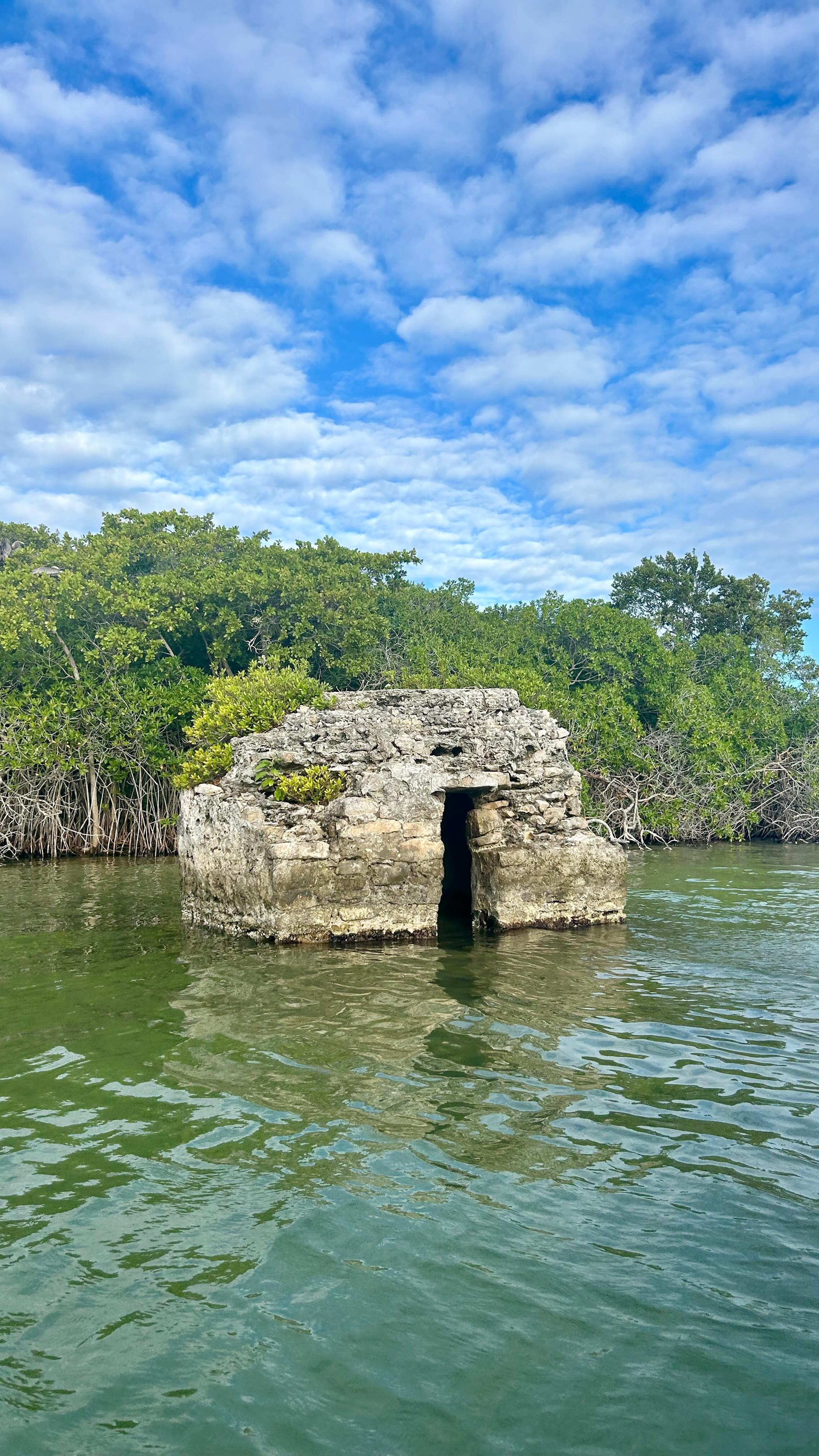Un día increíble en Sian Ka’an 🌿
Es una reserva natural ubicada cerca de Tulum 🇲🇽
Fuimos con la agencia Mexico Kan Tour y la verdad fue un tour increíble
Recomendamos esta agencia al 100 % 🙌
Pudimos ver cocodrilos, muchas especies de aves y manatíes 🐊🦜🐋
Un día mágico en plena naturaleza ✨
Si tienen preguntas, no duden en dejarlas en los comentarios 💬
#Tulum #siankaan #visitmexico