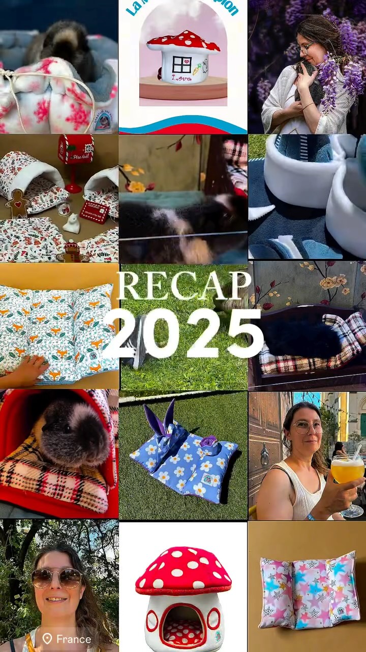 ✨ 2025 en quelques images… ✨
Une année remplie de créations, de nouveautés, de défis, de nuits à coudre, de messages adorables et surtout… de vos animaux heureux 🐰🐹
Merci d’avoir fait partie de cette aventure,
merci pour votre confiance, votre soutien et votre fidélité.
2025 a été intense, inspirante et pleine de douceur 💛
2026 arrive avec encore plus d’idées, de projets et de cocooning ✨
Restez avec moi pour la suite 🤍
Prenez soin de vos animaux avec Quartier Des Nacs 🐾
#cochondinde #lapin #animauxdecompagnie #bienetreanimal #rongeurs