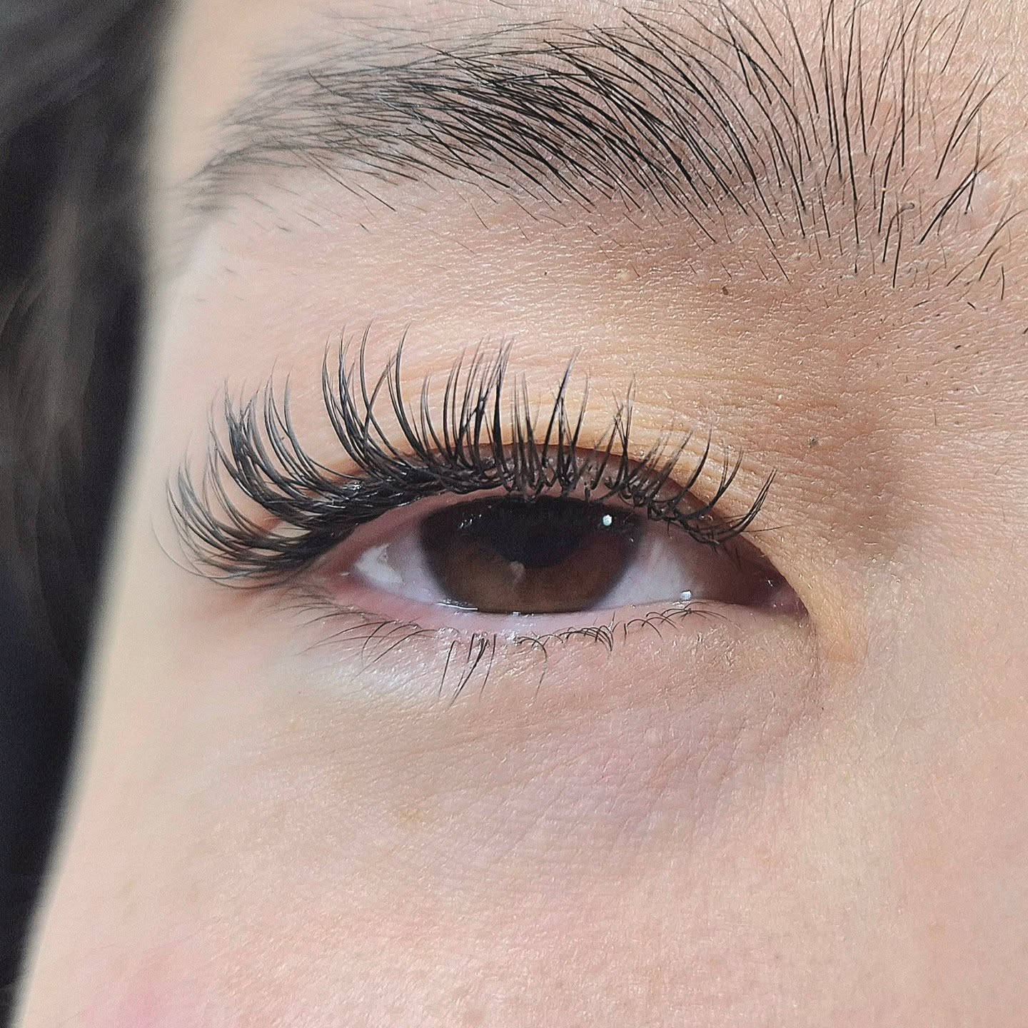 Klassiske vipper#vippeekstensionsrøa #eyelashextensionsoslo #oslovipper #volumvipperhøvik #vippeextensionsullern vipperextensions vipperoslo oslovipper whispylashesmixvipperoslohybridvipperoslovipperrøavipperbærumvippersmestad røavivver vipperhøvik vipperullern