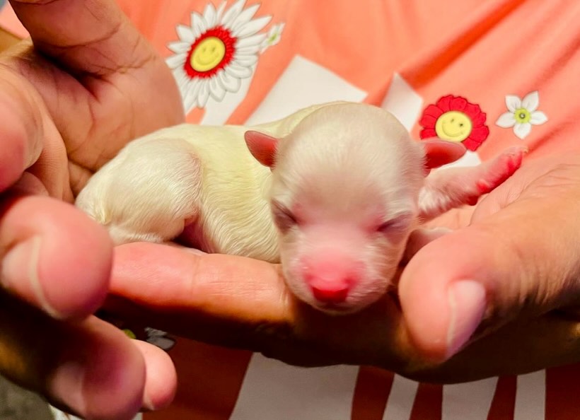 God is great! 3 boys 2 girls.