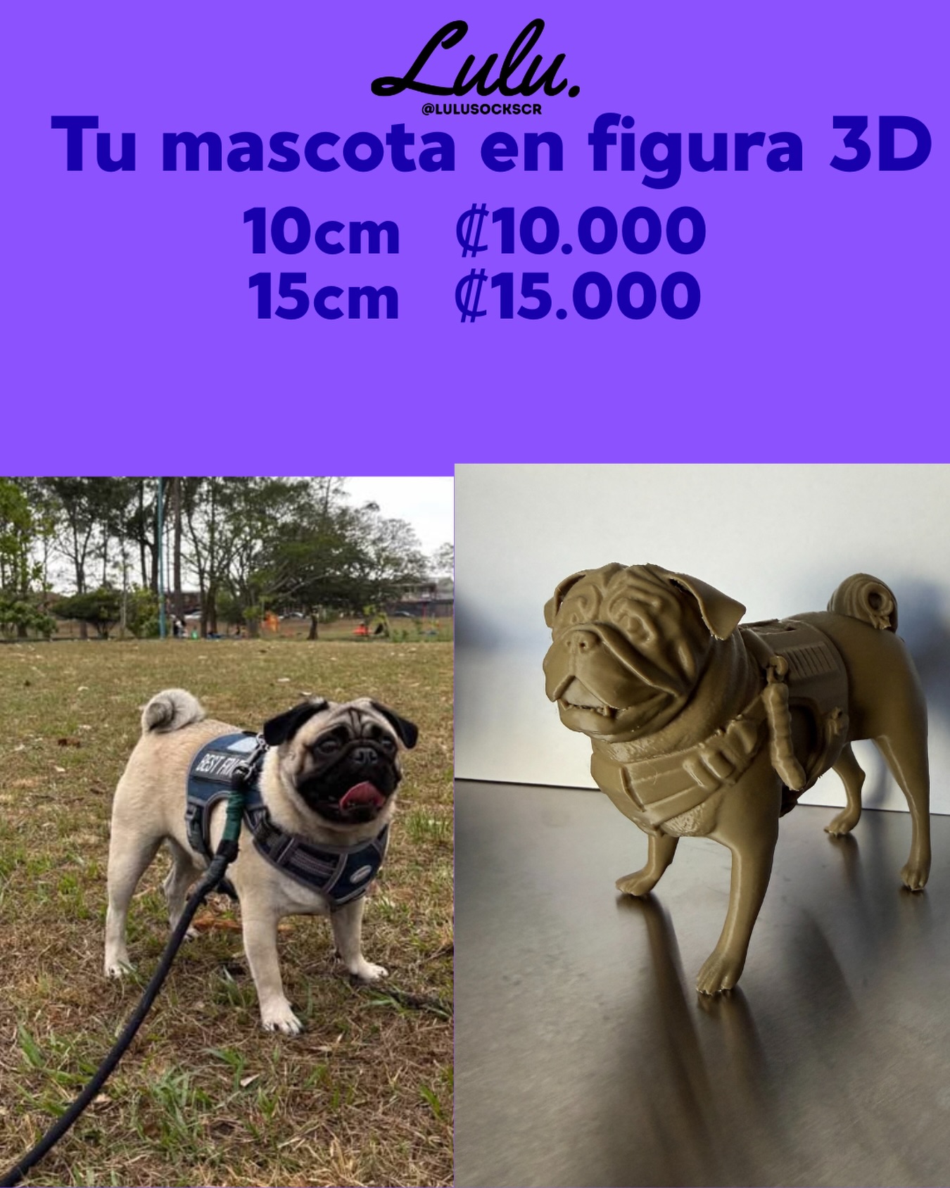 Con solo una foto transformamos tu mascota en una estatuilla!