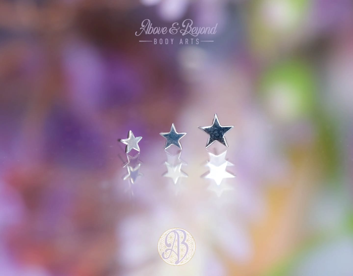 Stars galore!
These Titanium ends from @anatometalinc come in 3 different sizes to be the perfect fit for any healed piercing! And since they're Titanium, that also means we can anodize them to any color your heart desires! Want blue and teal for a northern lights look? Or a classic yellow or gold to complete the night sky 🌌
📷: @50percentsnakes
#piercing #bodyjewelry #anatometal #safepiercing #santabarbara