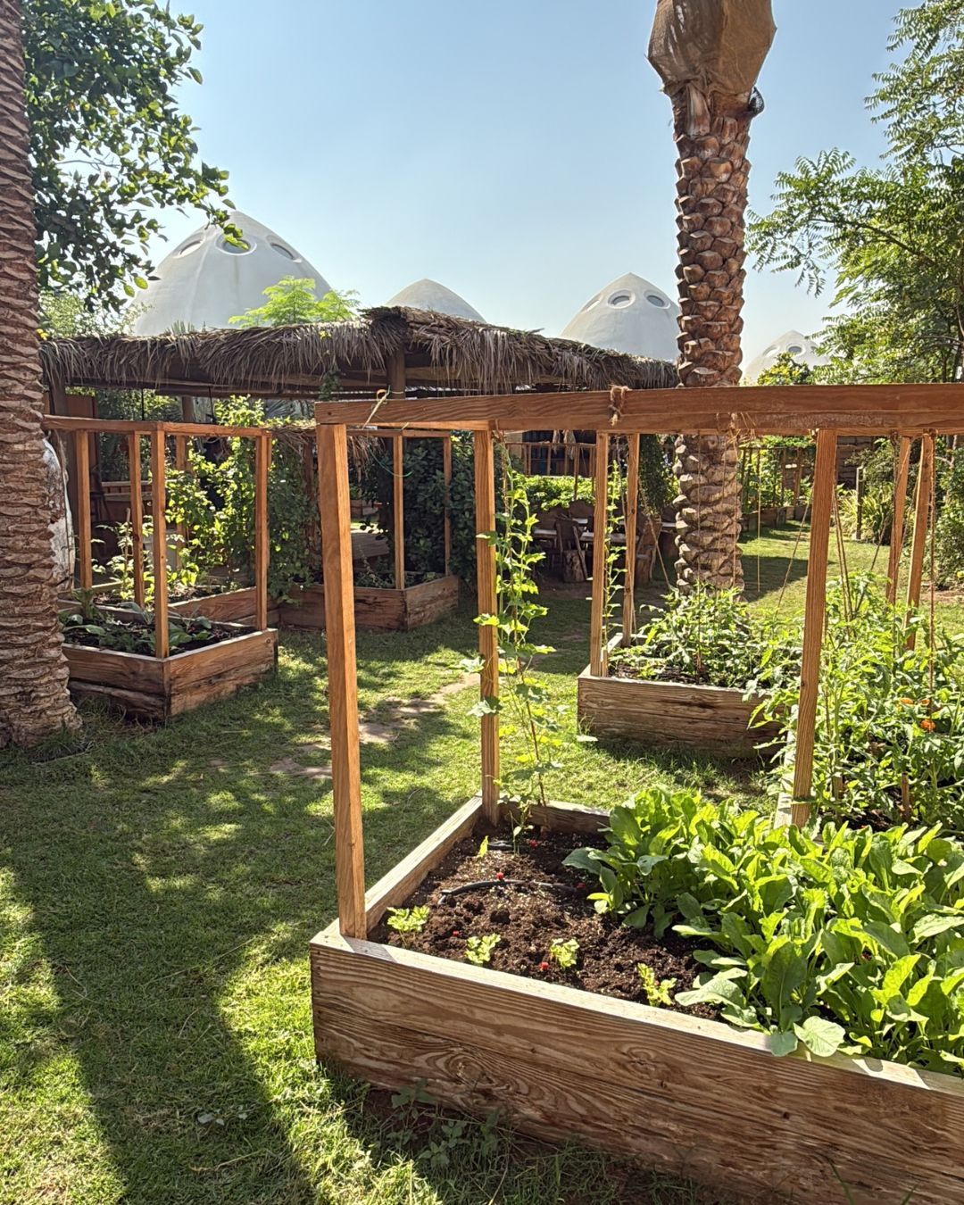 We like to post nature pics on Saturday.
Look at this beautiful part of @alfanarschool. Children learn to grow vegetables and care for nature while they're at it.
Isn't this little set up what dreams are made of?
#natureschool #natureeducation #forestleadertraining #forestschool #motherearth #learning