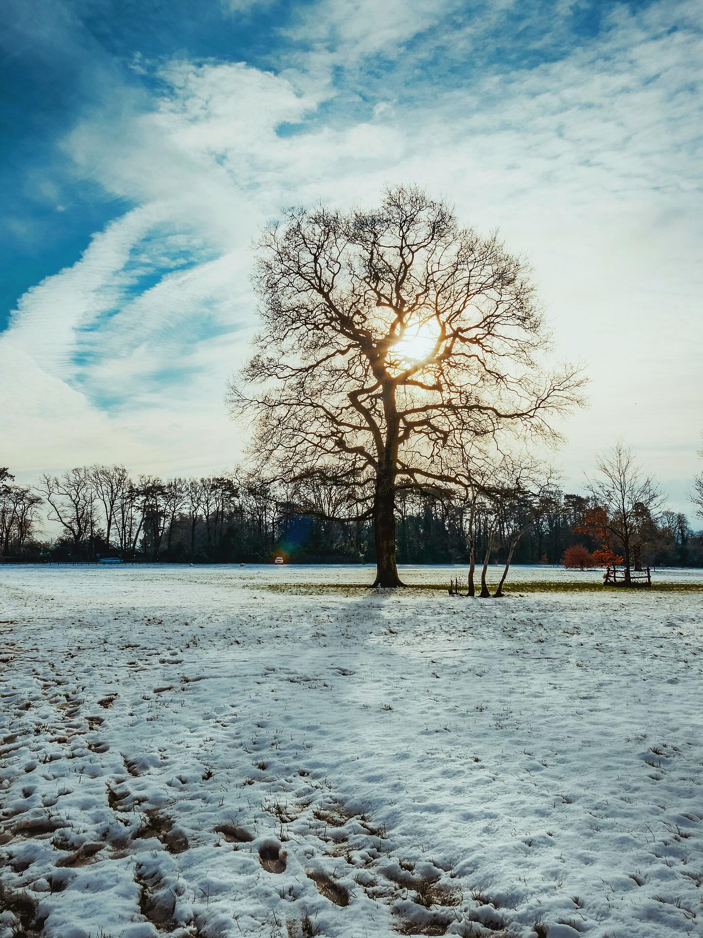 A little bit of winter sun and snow at lunchtime #bbc_midlands #visitcoventry #winterwunderland❄️ #snowydays