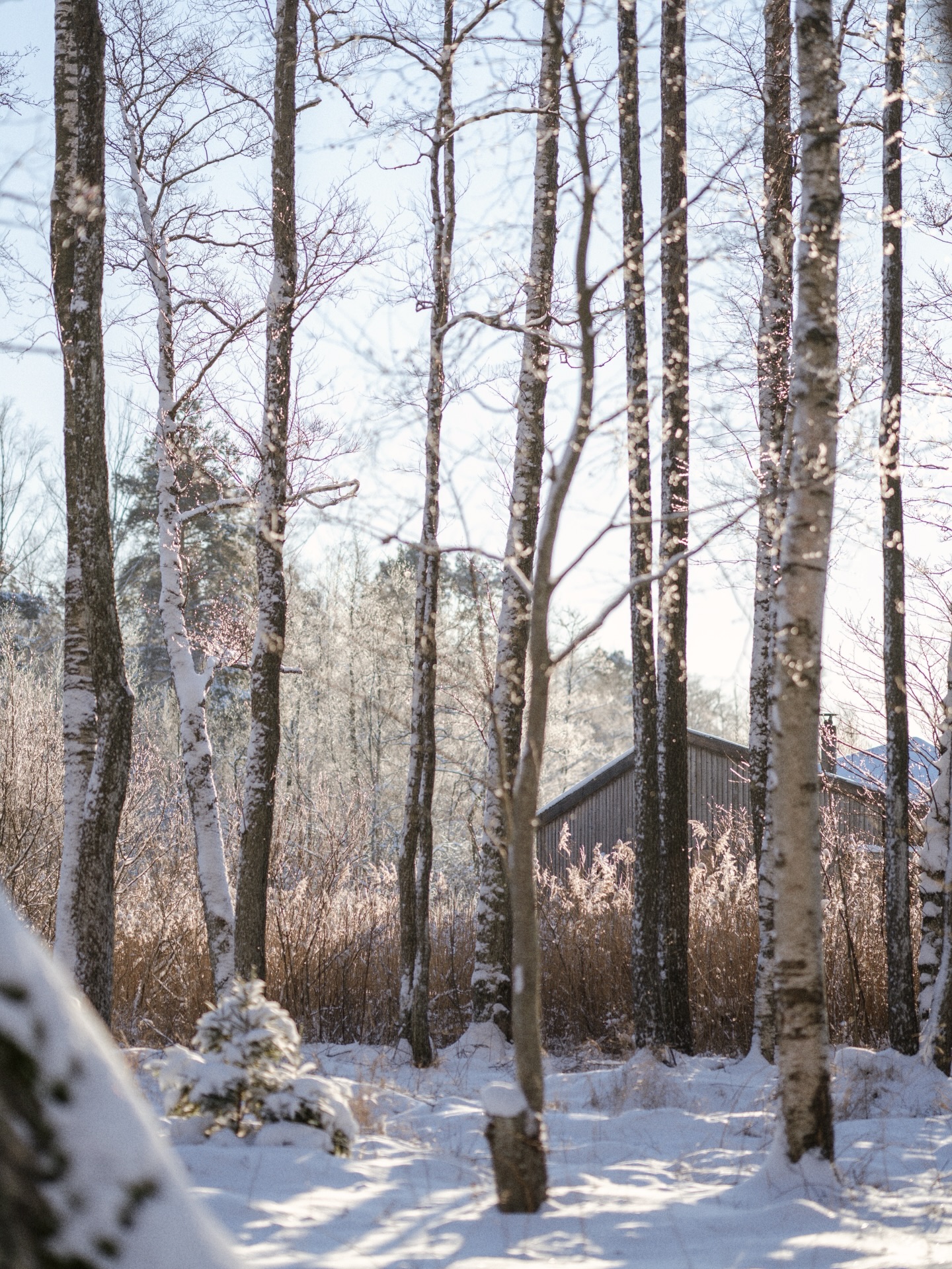 Sauna by the lake on the coldest winter’s day yet 🤍❄️
This beautiful lakeside sauna is located in northern Estonia. It’s available for private hire all year round, and we were lucky to plan our visit for the most magical cold and sunny day.
We set the sauna to heat up and used the time to explore and enjoy the picturesque surroundings. Reeds, cattails, tall trees with birds’ nests, all wrapped in a blanket of white. A special place and a day to remember. 🌞
📍 Klooga Kosk, Klooga, Harju County
🌿 3 hours - 4 people - 40€ (max 10 people)
🪵 you can order the sauna to be heated in advance for 20€ (we’d recommend that in very cold weather)
Would you like an experience like this? 🤍
#sauna #visitestonia #wintermagic