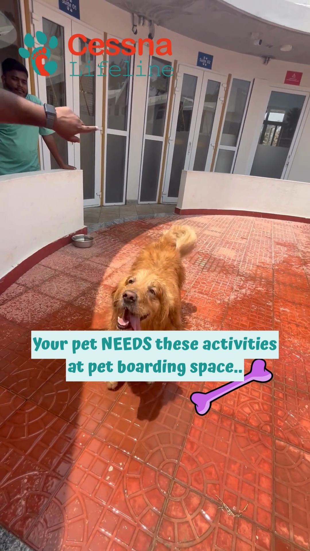 Good boarding isn’t about keeping pets contained — it’s about keeping them engaged, calm, and happy while you’re away. A quality pet boarding space should meet both their physical and emotional needs.
Here’s what truly matters 👇
🌿 Structured playtime to burn energy and reduce anxiety
🧠 Mental enrichment — sniff walks, puzzle games, new textures
😴 Quiet rest zones for uninterrupted naps (overstimulation = stress)
👫 Safe socialisation with pets of similar temperament
👩⚕️ Human interaction & supervision — because comfort comes from people too
When these needs are met, pets settle faster, eat better, sleep well, and actually enjoy their stay.
💡 Pro tip: Ask boarding spaces what a pet’s daily routine looks like — that tells you everything.
📌 Save this checklist before choosing a boarding space & share it with a pet parent planning a trip!
#cessnalifelineveterinaryhospital #cessnalifeline #20yearsofcessnalifeline #petboarding #petretreat #dogboarding #petwellness #responsiblepetparent