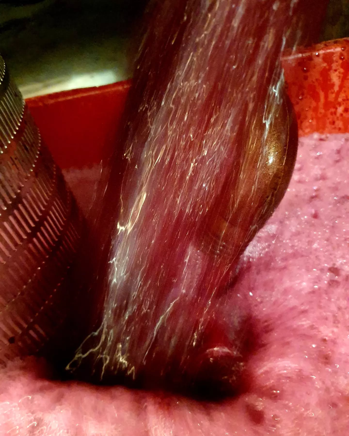 Couleur Syrah 2023.
Après 1 semaine de cuvaison, le mout s'est coloré avec les antocyanes présentes dans la peau des raisins.
After 1 week's vatting, the must became colored with the antocyanes present in the grape skins.
#vignoblesmontthabor #chateauneufdupape #vinsluberon #millesime2023 #winemaking #syrah