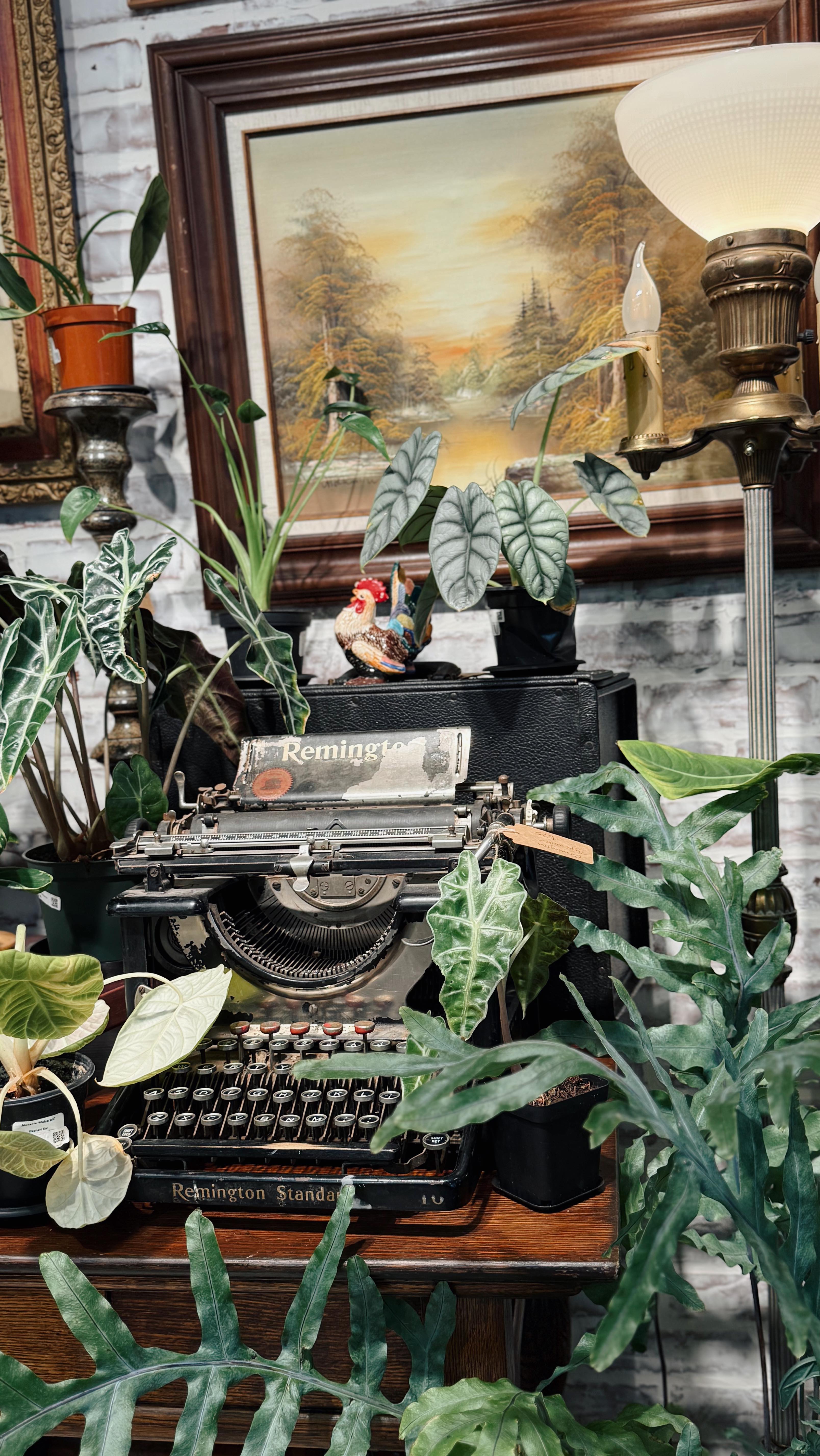 Hi 👋 it’s me. I’m the one maxing out our speakers.
Oh, you need help with something? Mmmk lemme sprint this store like a track star and turn the music down so we can act like civilized humans. 😆
Creating beautiful displays of home decor and curating a special little shop takes lots of @hiforrest on high volume.
#vintage #spokanesmallbusiness #spokane #homeinspo #handmade