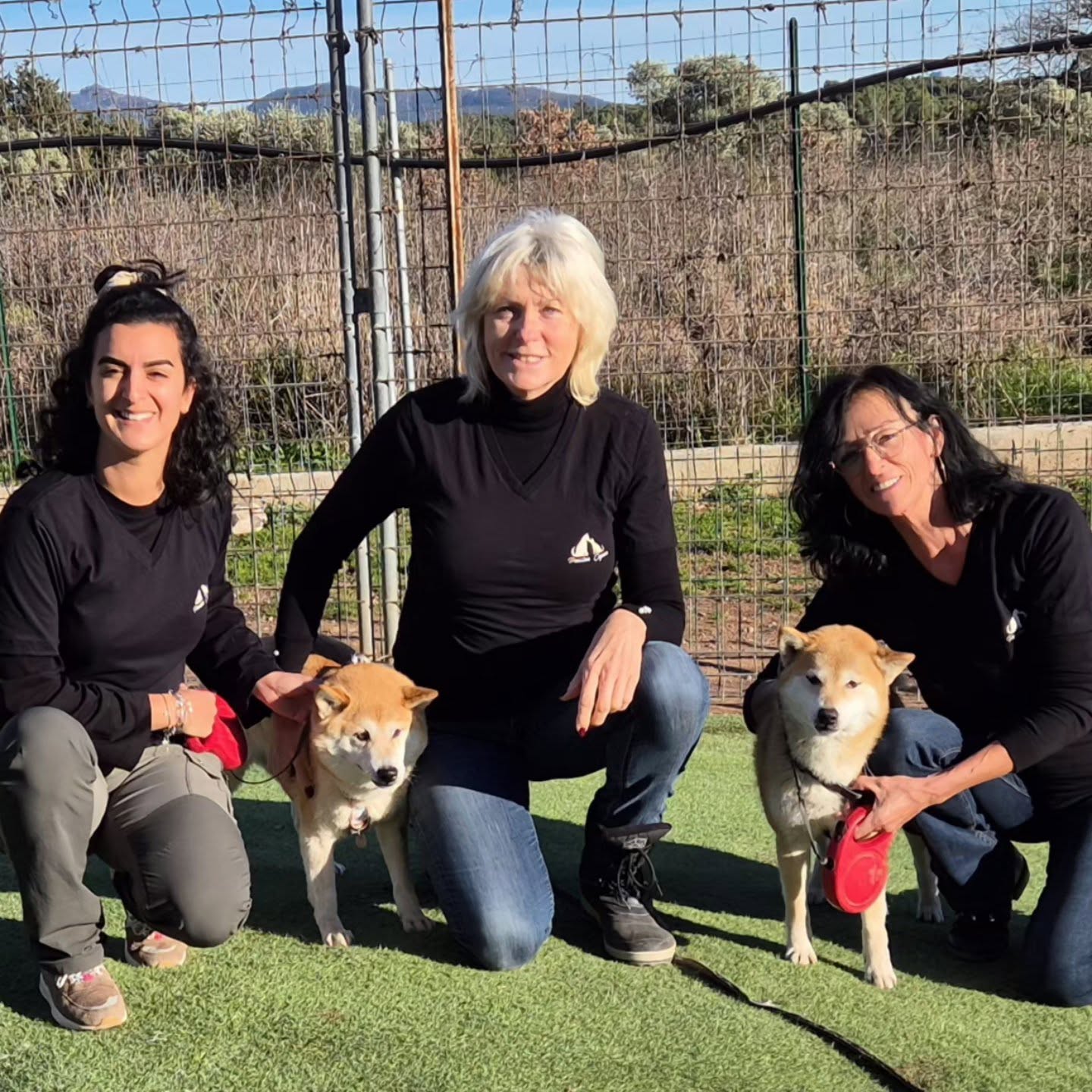 Nouvelle année nouveau personnel CDI signé 👍🙏
voici Joëlle et Leila pour certains vous les avez déjà rencontré pour les autres vous aurez le plaisir de les connaître
Vos compagnons à quatre pattes ont déjà validé leurs gentillesse et leurs amour pour eux 😉❤️
A très vite #Pensioncayron.com
#pensioncanine #pensionfeline #var