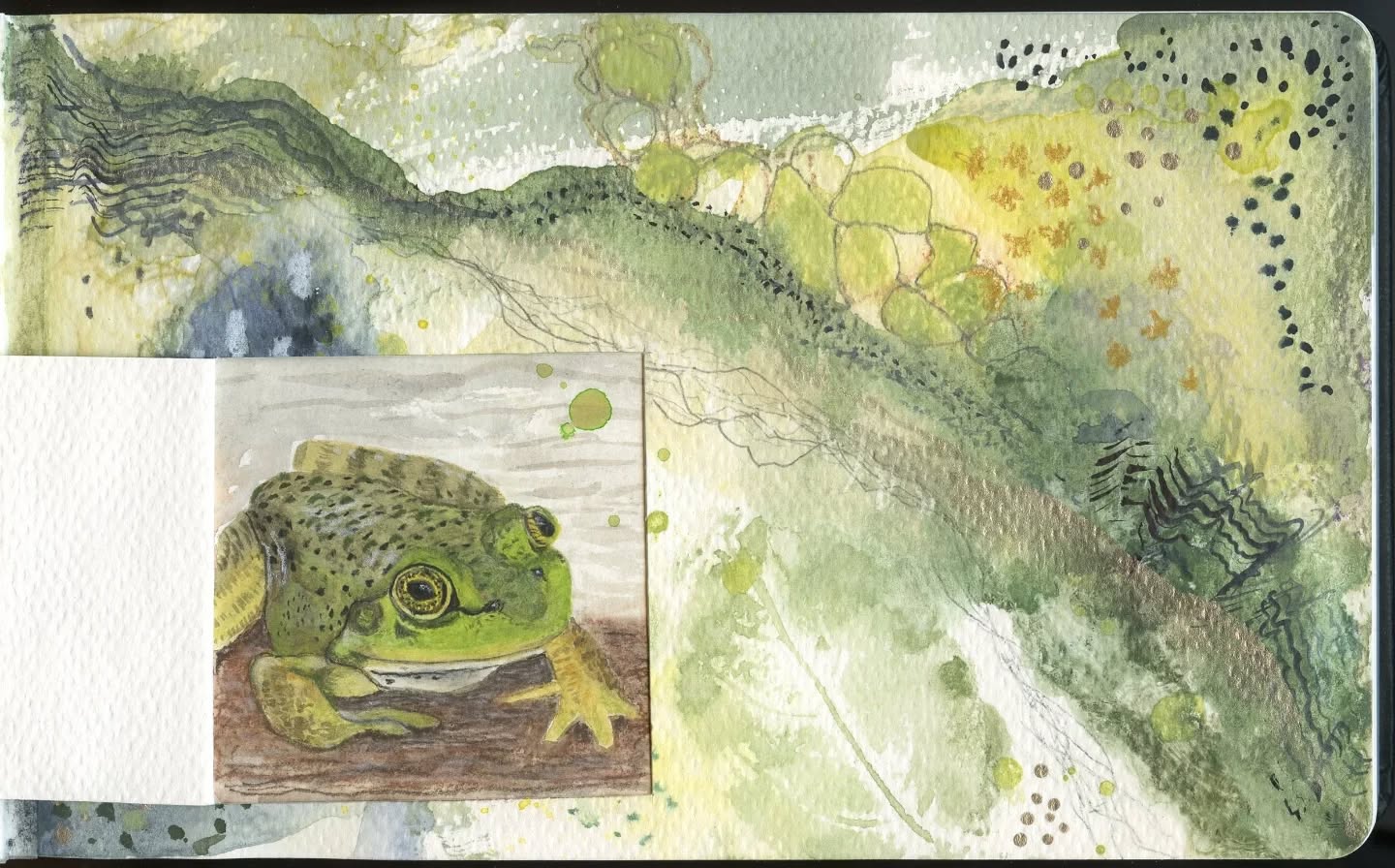 This journal page came from my watercolor club called Calm Waters @coastalnicole
What started out as a landscape, it turned into more of an aerial view looking down on the land. My friend Allana hiked the Sunshine Coast trail, so I used her photo of the frog. I added touches of Pitt pastel pencils to the frog and a couple of drops of water to "blend" with nearby drops on the page once the window was opened. I really like how it turned out. The "white" marks were made using a wax-like crayon.
#watercolorart #watercolormixedmedia #watercolorpainting #abstractwatercolor
#fabercastellglobal