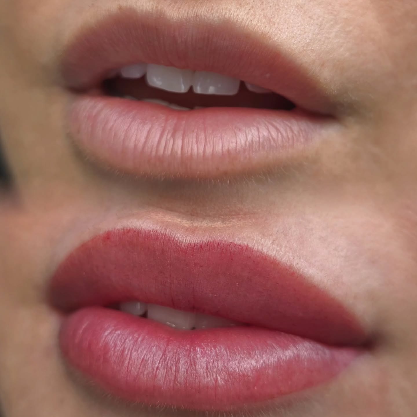The service you didn't know you needed!✨️
Natural, soft, more symmetrical and completely addictive 💋
Booked you lip blush about now by following the link in bio or texting 843-499-4357
#lipblush #liptattoo #SouthCarolina #Charleston #permanentmakeup