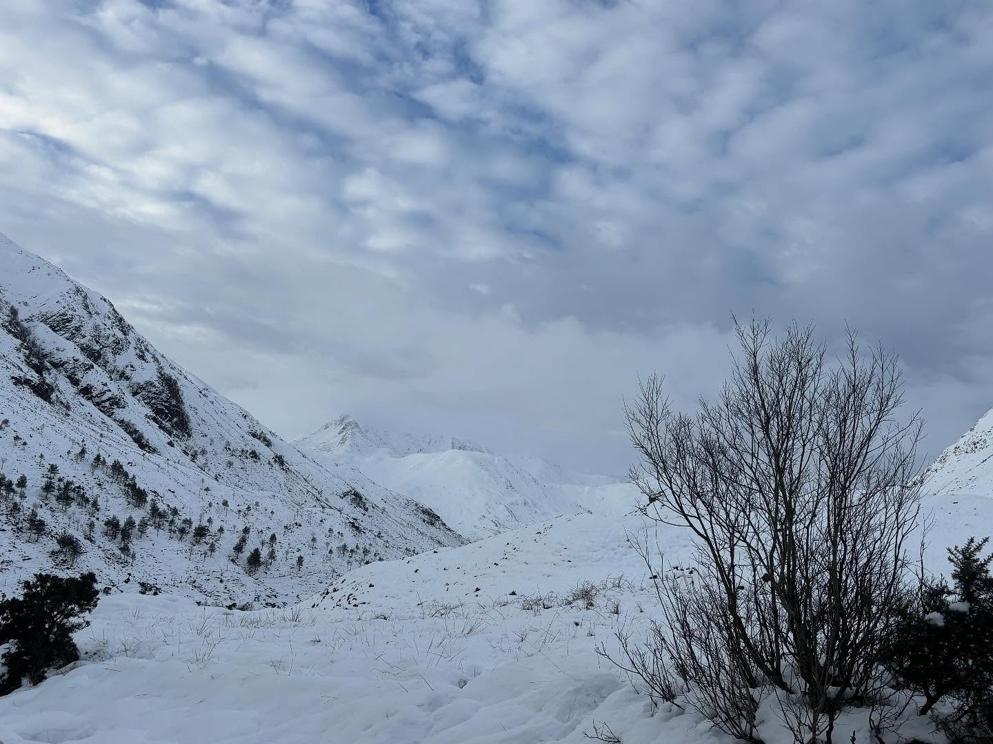 Winter was once the season of listening.
Fields asleep.
Stories awake
#island #scottishhighlights #magic #snow #winter #beautiful #newyear #2026