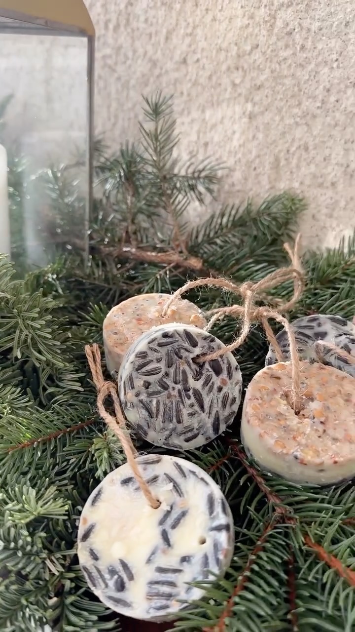 Kleine Vogelfutteranhänger DIY 🐦✨
schnell gemacht, super hübsch – und ein echtes Winter Highlight für unsere gefiederten Freunde ❄️
Ich zeig dir im Reel Schritt für Schritt, wie du die Anhänger selber machst – perfekt für Balkon, Garten oder als kleines Geschenk 🧵🌾
👉 Kommentiere mit „link“
und ich schicke dir die Liste mit allen benötigten Zutaten und Materialien 💌 * Affiliate
Speichern nicht vergessen & gerne teilen, damit noch mehr Vögel happy werden 🥰
#diyideen #vogelfutter