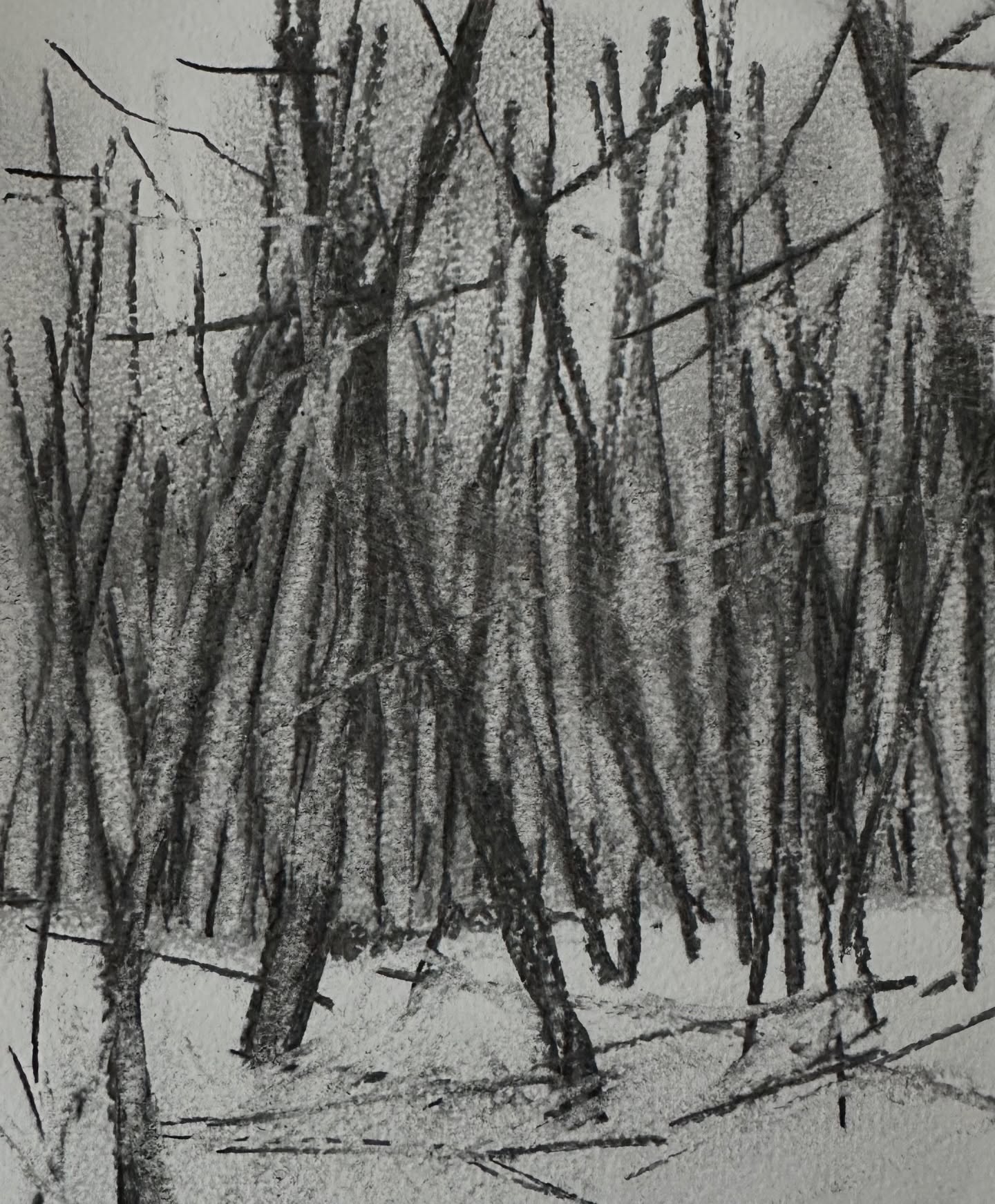 On dark winter days, when there’s not enough light to paint, I like to return to charcoal. Making composition studies helps me slow down, simplify, and focus on balance, rhythm, and contrast.
#charcoalstudy #compositionstudy #artistprocess #winterstudio #drawingpractice